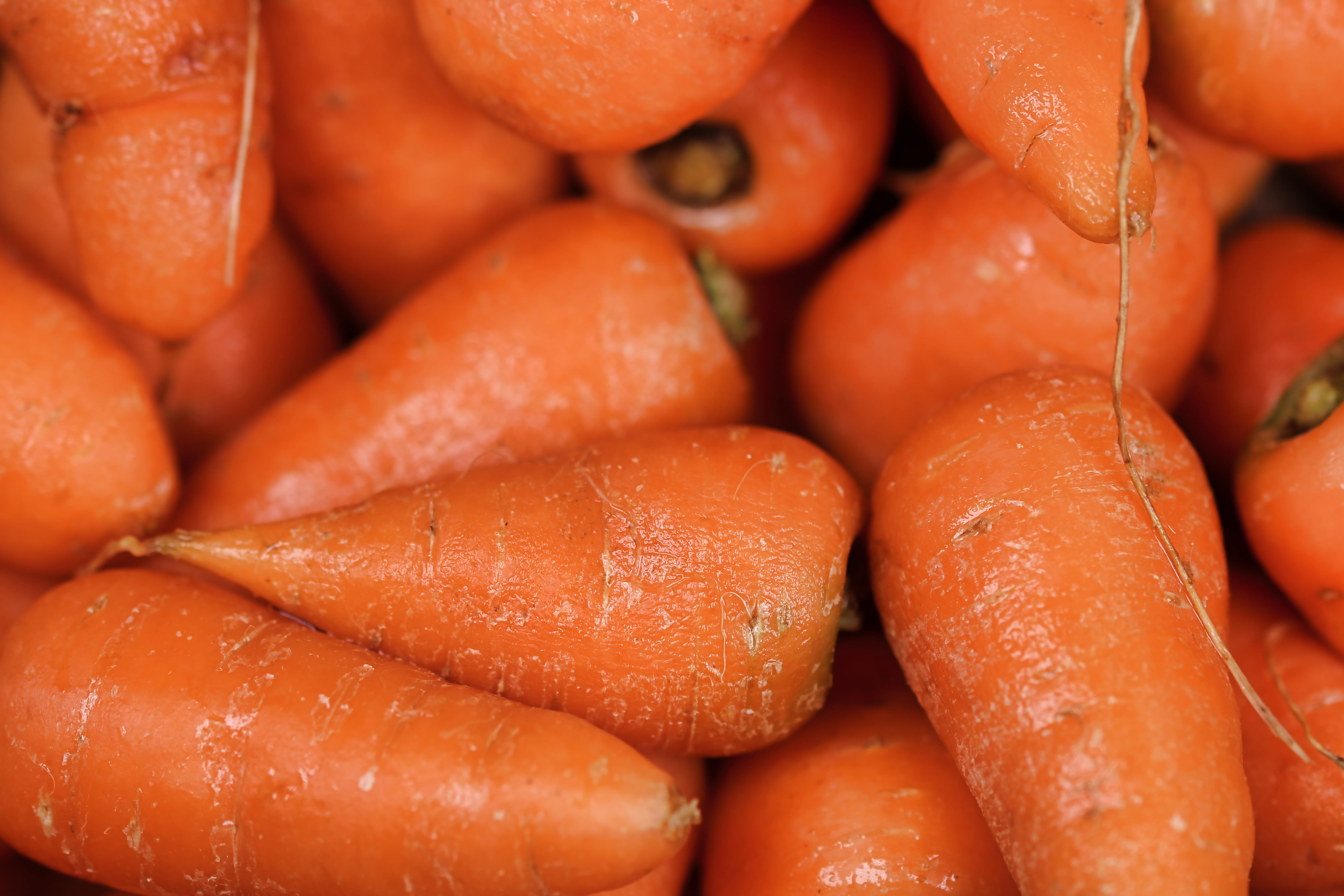 food and drink, delicious, orange color, full frame, fruit, fill, retail, frame, healthy eating, nutrition, for sale, carrot, backgrounds, ripe, photography, HD Wallpaper