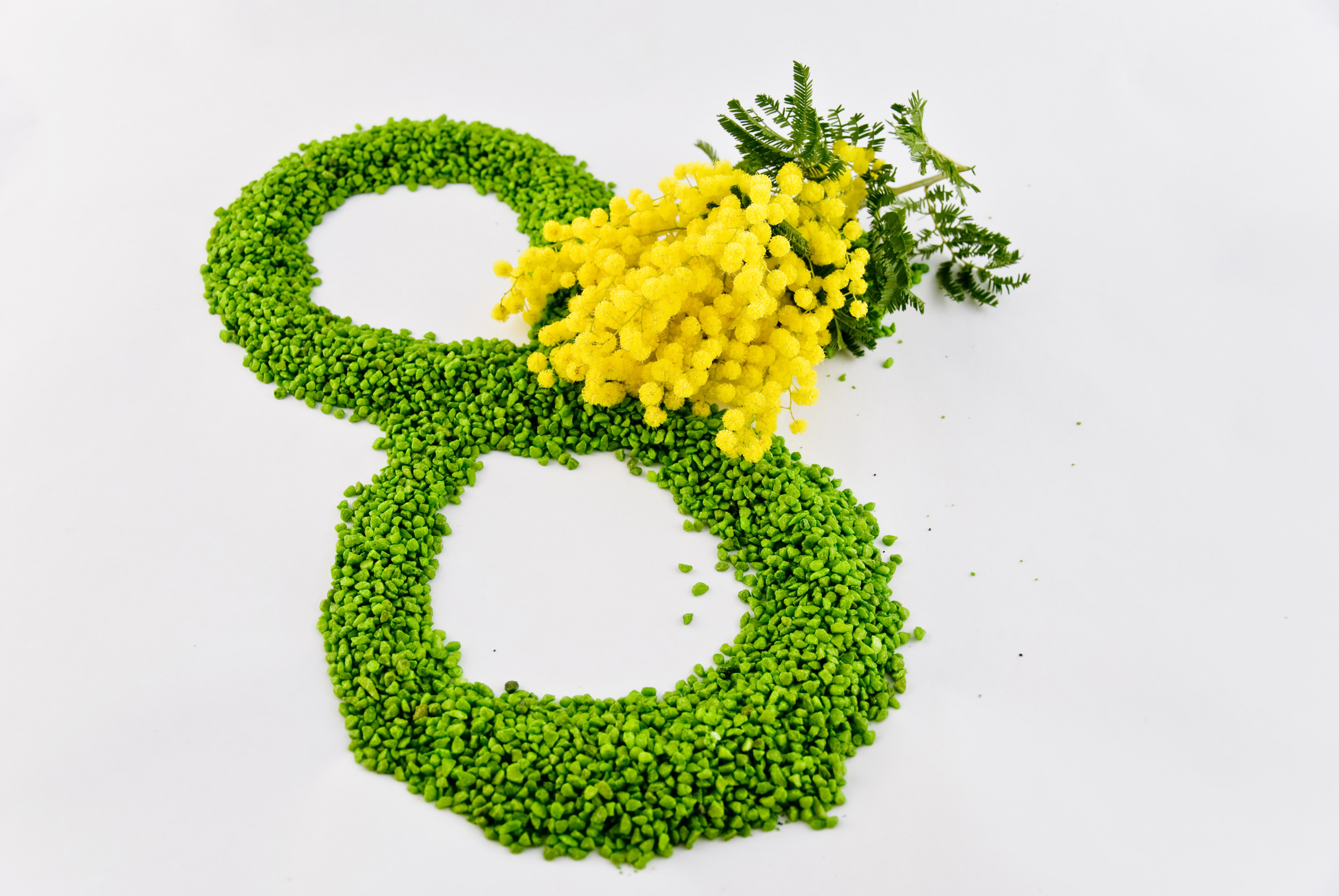 growth, food and drink, mung, white, March 8, flower, healthy eating, isolated, still life, flowers, leaf, freshness, organic, creativity, studio shot, HD Wallpaper