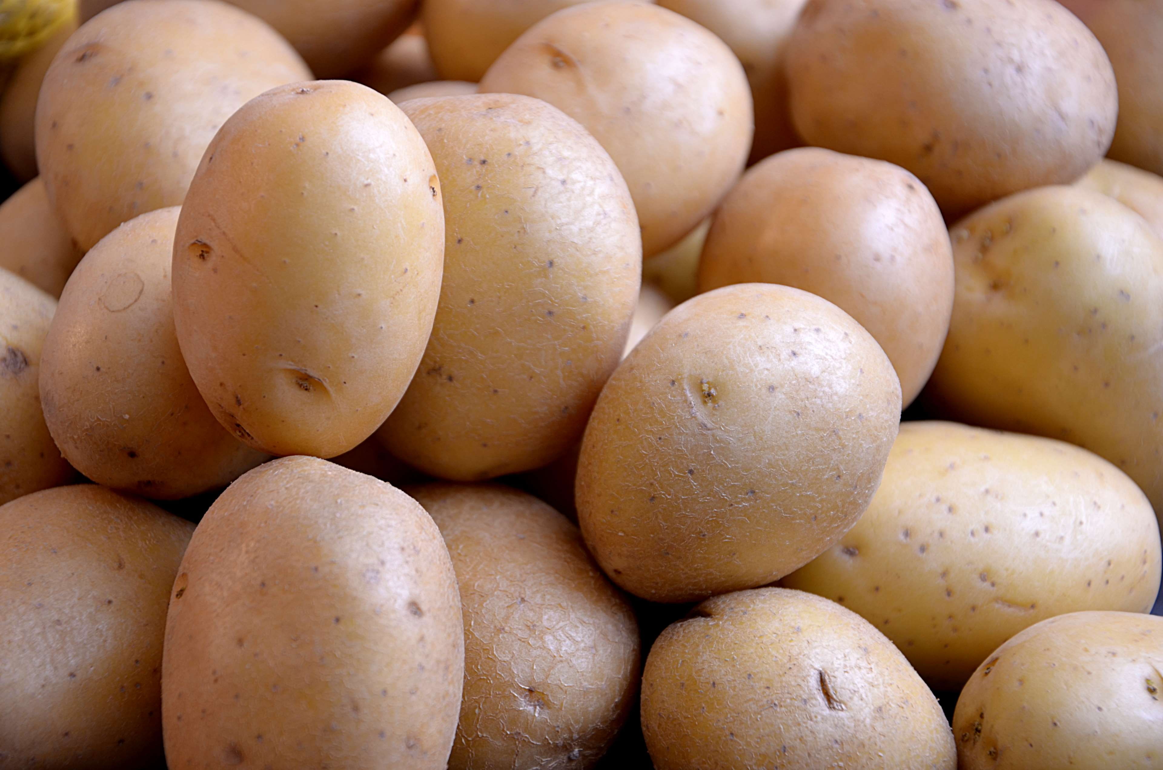 raw food, heap, close-up, alimentation, food, nourriture, potato, brown, carbohydrate - food type, pommes de terre, market, freshness, patates, 4K, backgrounds, HD Wallpaper