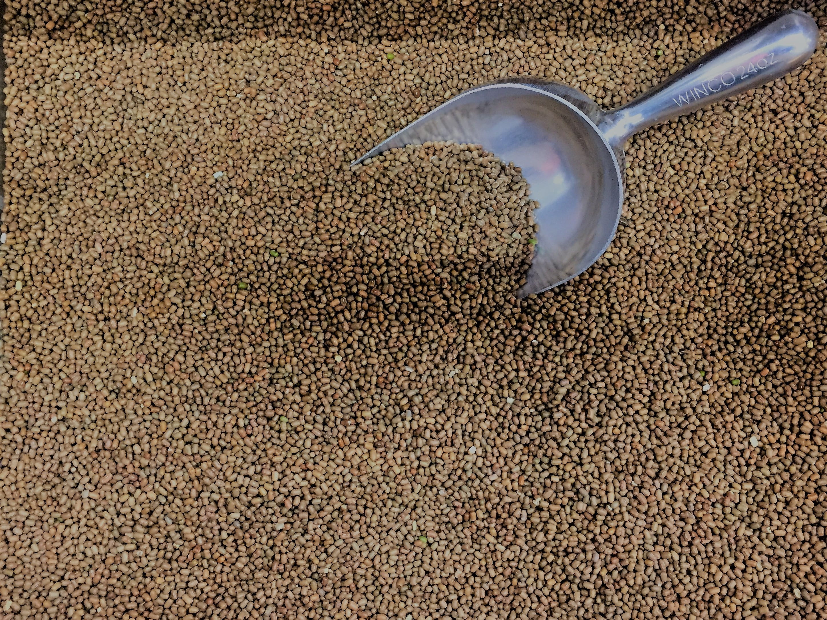 dairy product, backgrounds, freshness, eating utensil, uncooked, indoors, ingredient, moth, no people, legume, spoon, lentil, dry, kitchen utensil, full frame, HD Wallpaper