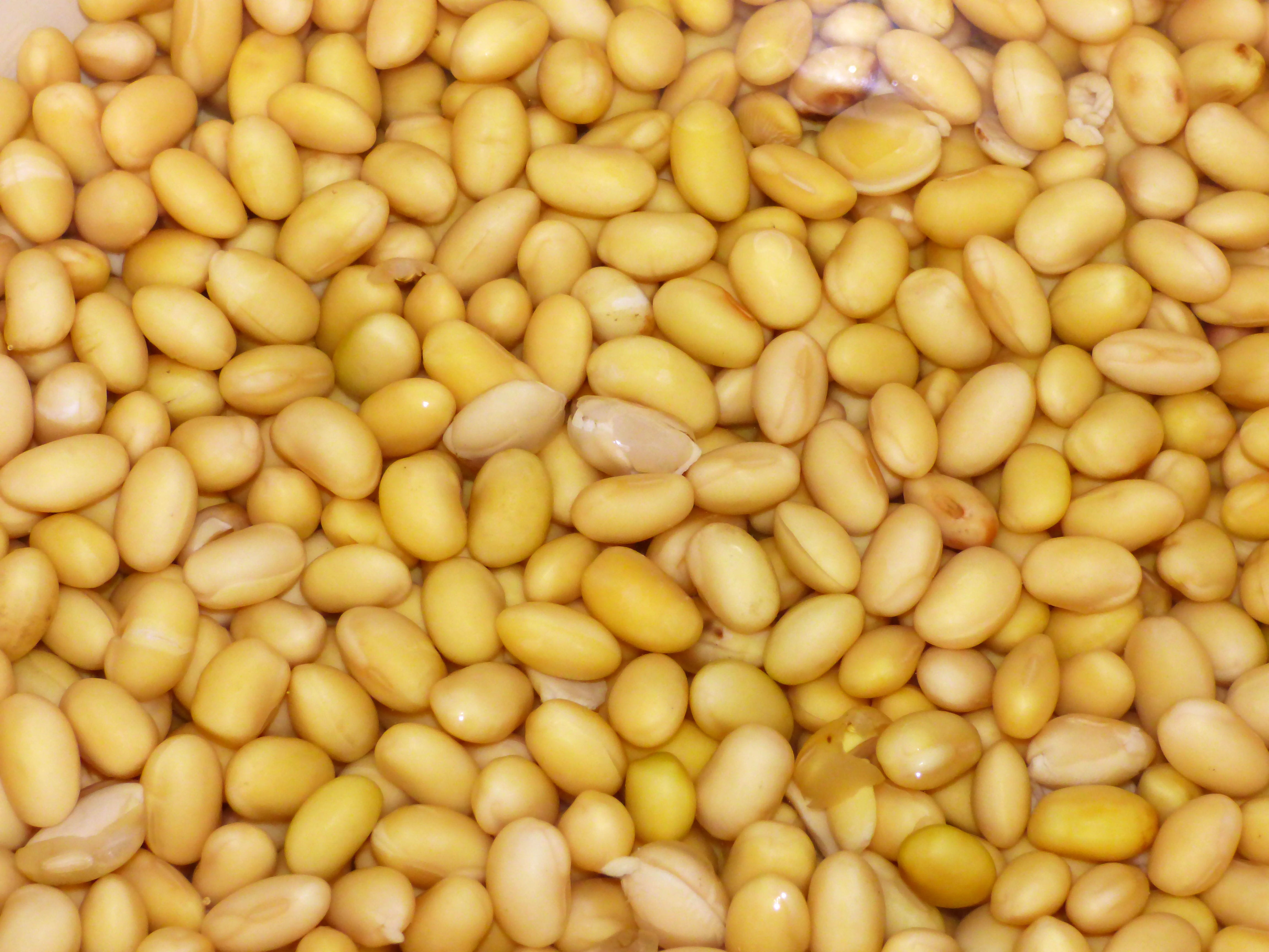 bean, food and drink, Beans, indoors, healthy eating, lot, market, Vegetables, close-up, legume family, backgrounds, Yellow, still life, 4K, high angle view, HD Wallpaper