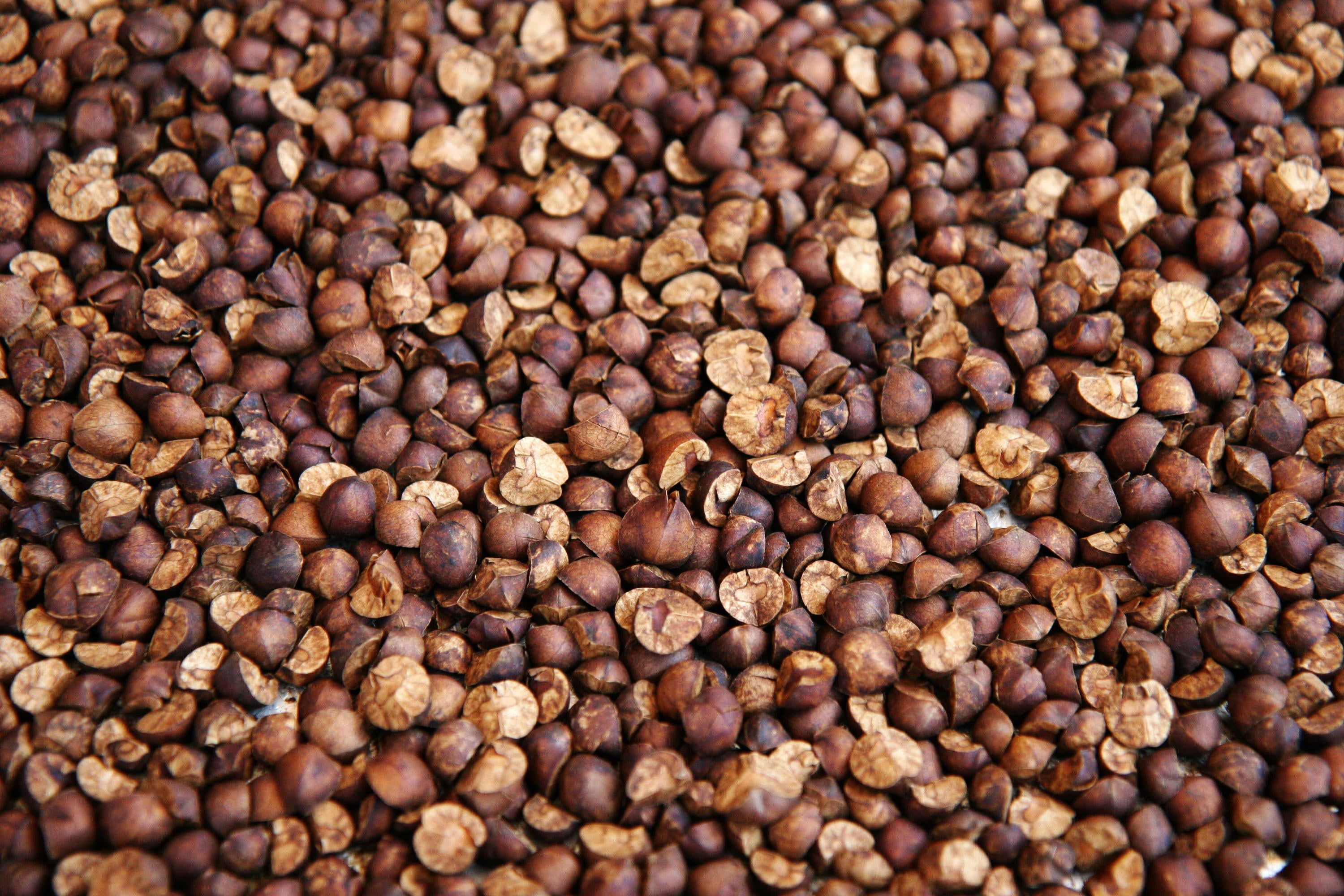 macro, backgrounds, large group of objects, seed, healthy eating, mocha, roasted, background, agriculture, scented, no People, black Color, espresso, textured, HD Wallpaper