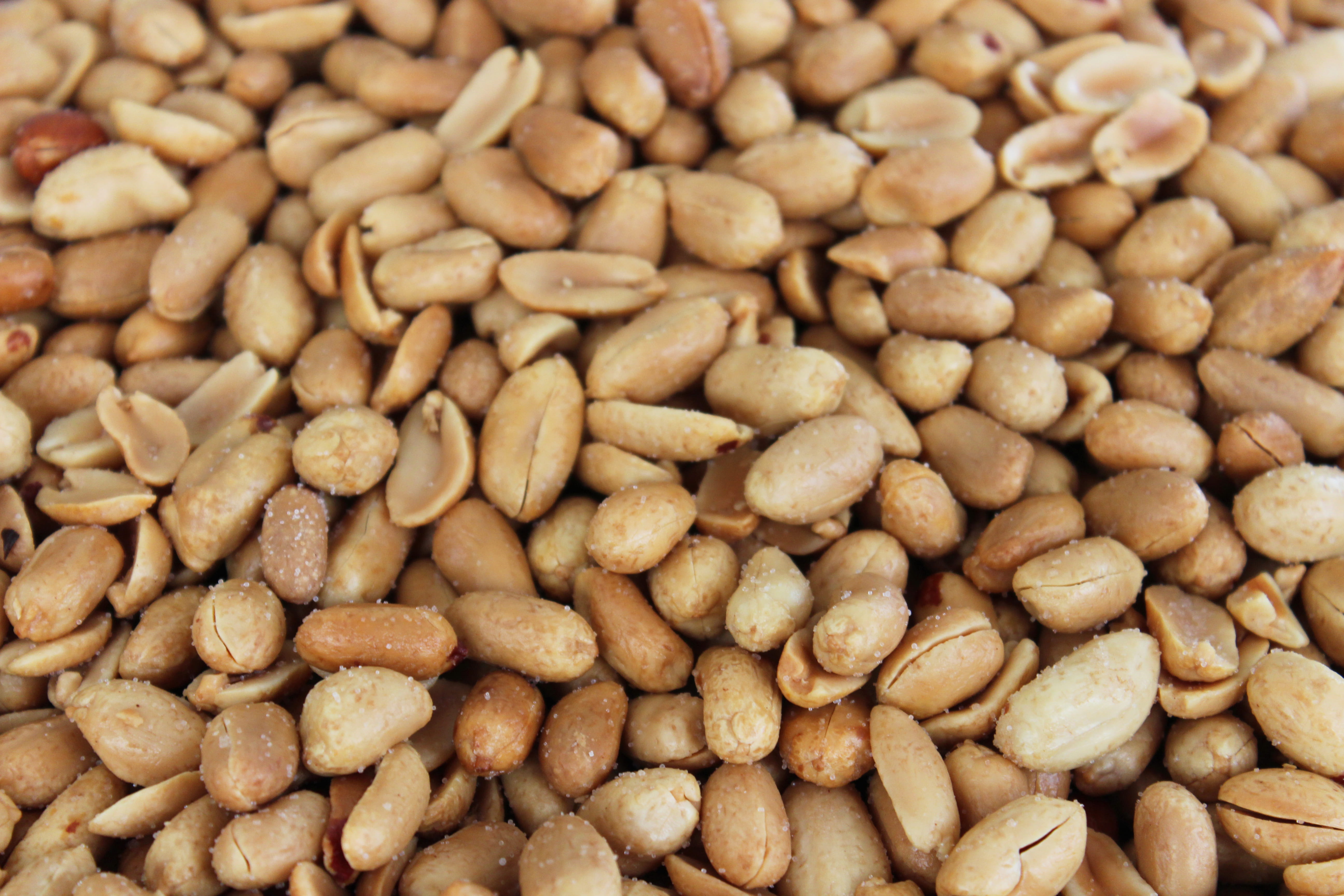 caffeine, large group of objects, 5K, rotterdam, full frame, backgrounds, seed, salty, close, coffee bean, drink, coffee, brown, close-up, snack, no people, HD Wallpaper
