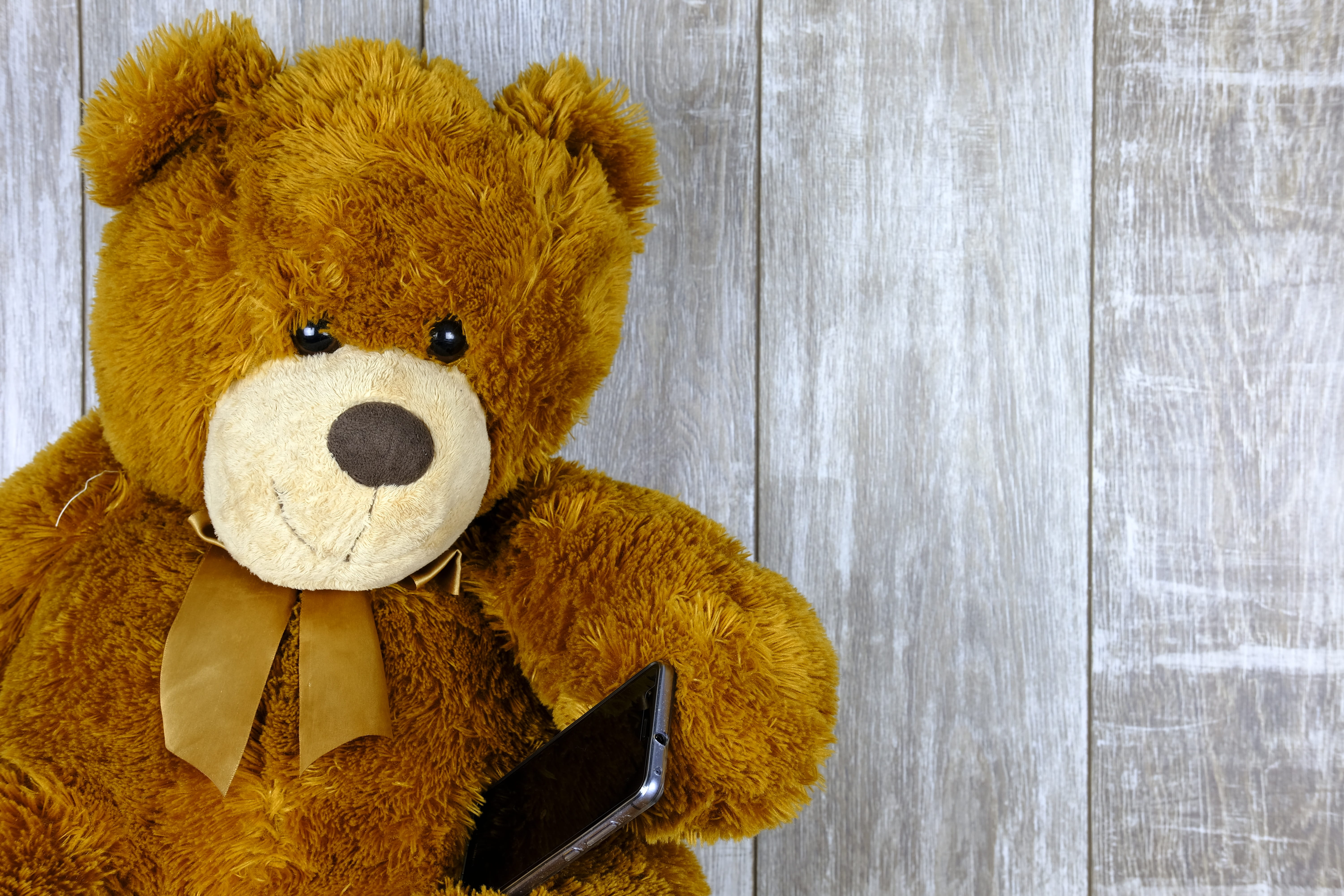 generation, toy, stuffed toy, postcard, animal representation, soft toy, two objects, 5K, wood - material, greeting card, day, coupon, phone, animal themes, HD Wallpaper