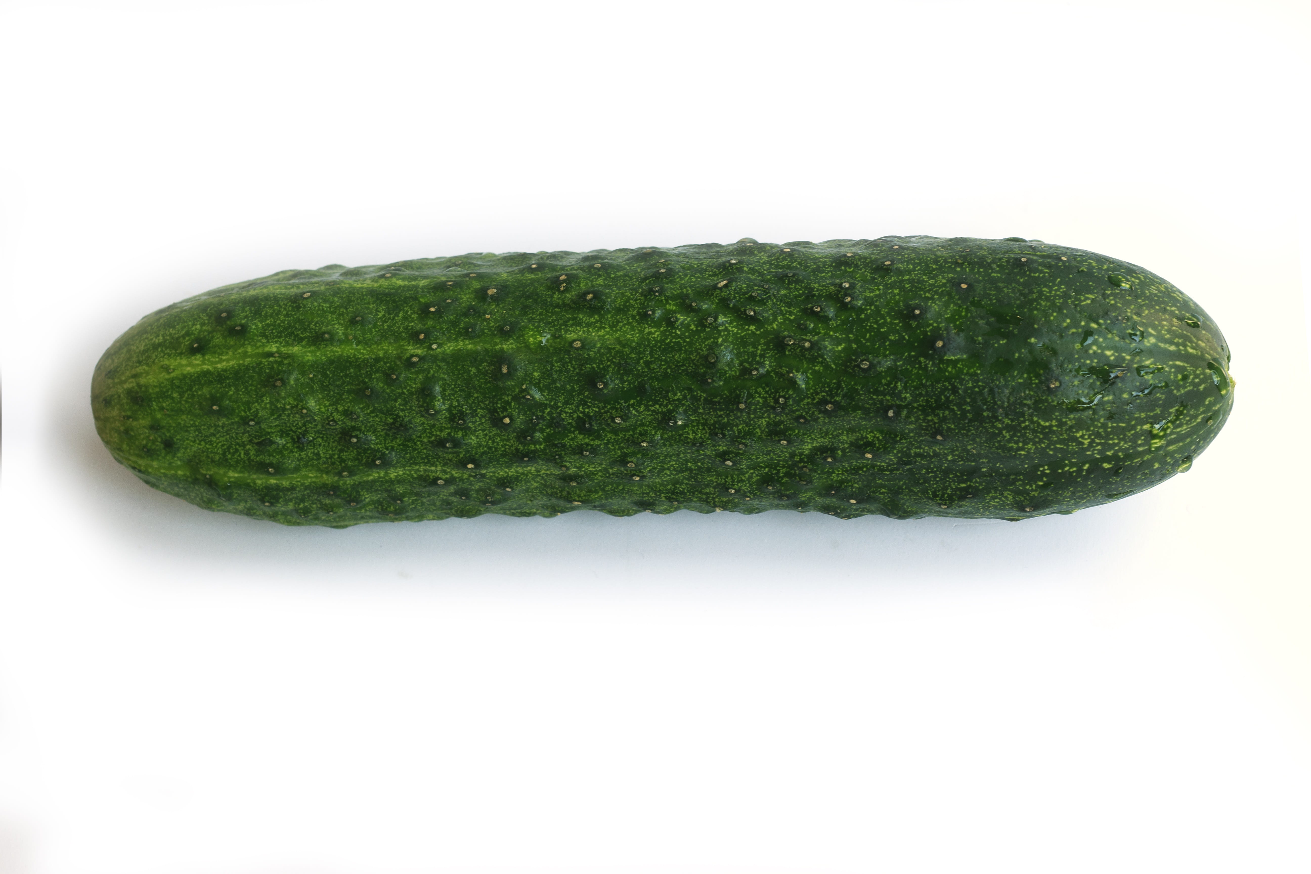 wellbeing, green, Vegetable, dieting, Cucumber, ripe, vegetarian Food, cut out, background, crude, still life, long, indoors, 5K, nutrition, close-up, HD Wallpaper