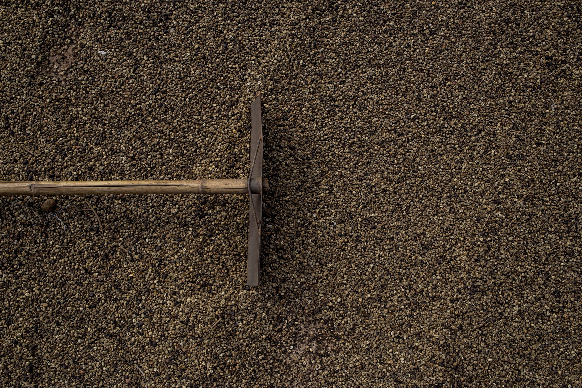 work tool, nature, night, road, Farm, land, equipment, day, 1080P, sand, Roça, sunlight, Coffee, field, Harvest, textured, close-up, high angle view, coffee roaster, HD Wallpaper