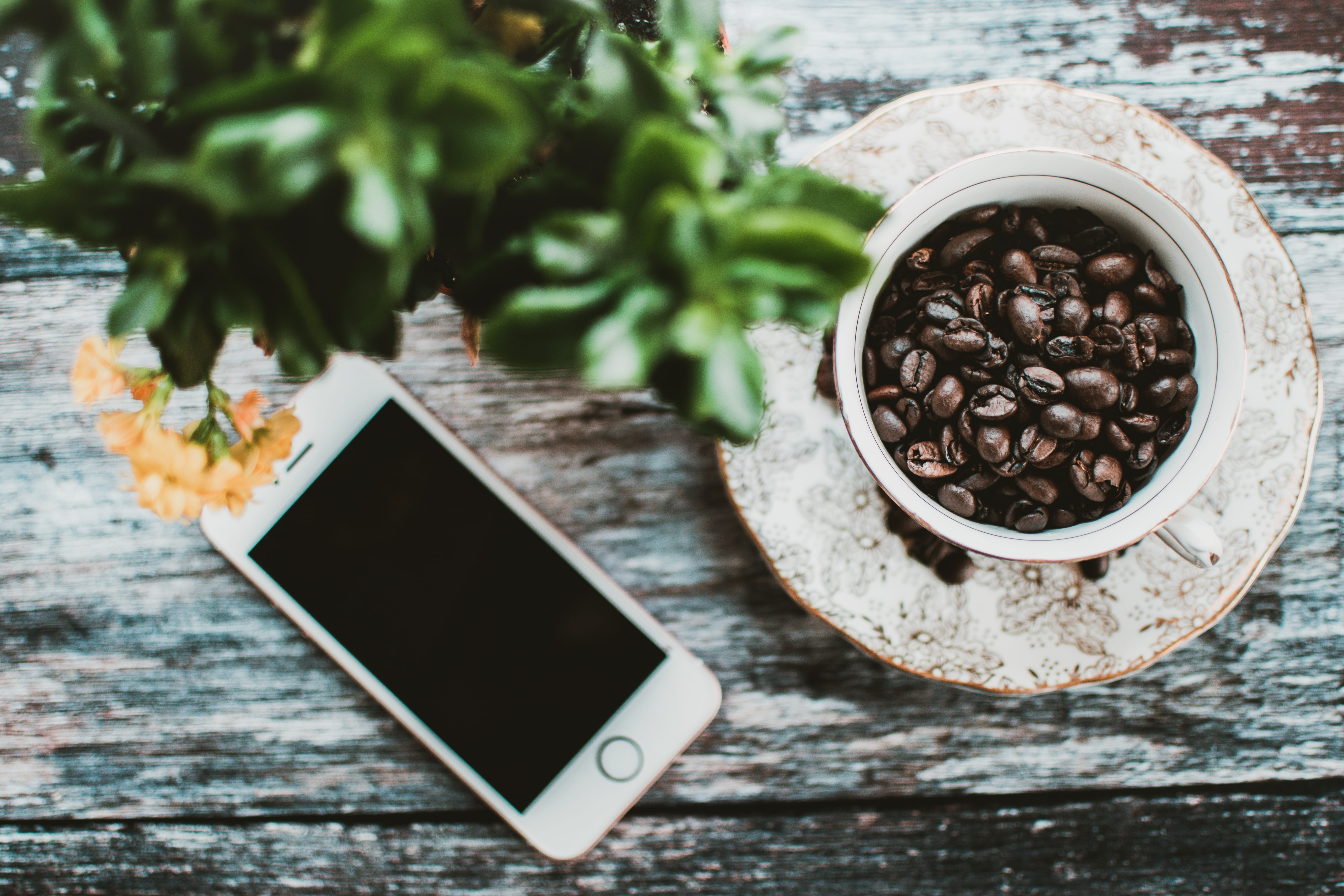 coffee cup, technology, high angle view, portable information device, freshness, roasted coffee beans, coffee beans, directly above, silver, no people, HD Wallpaper