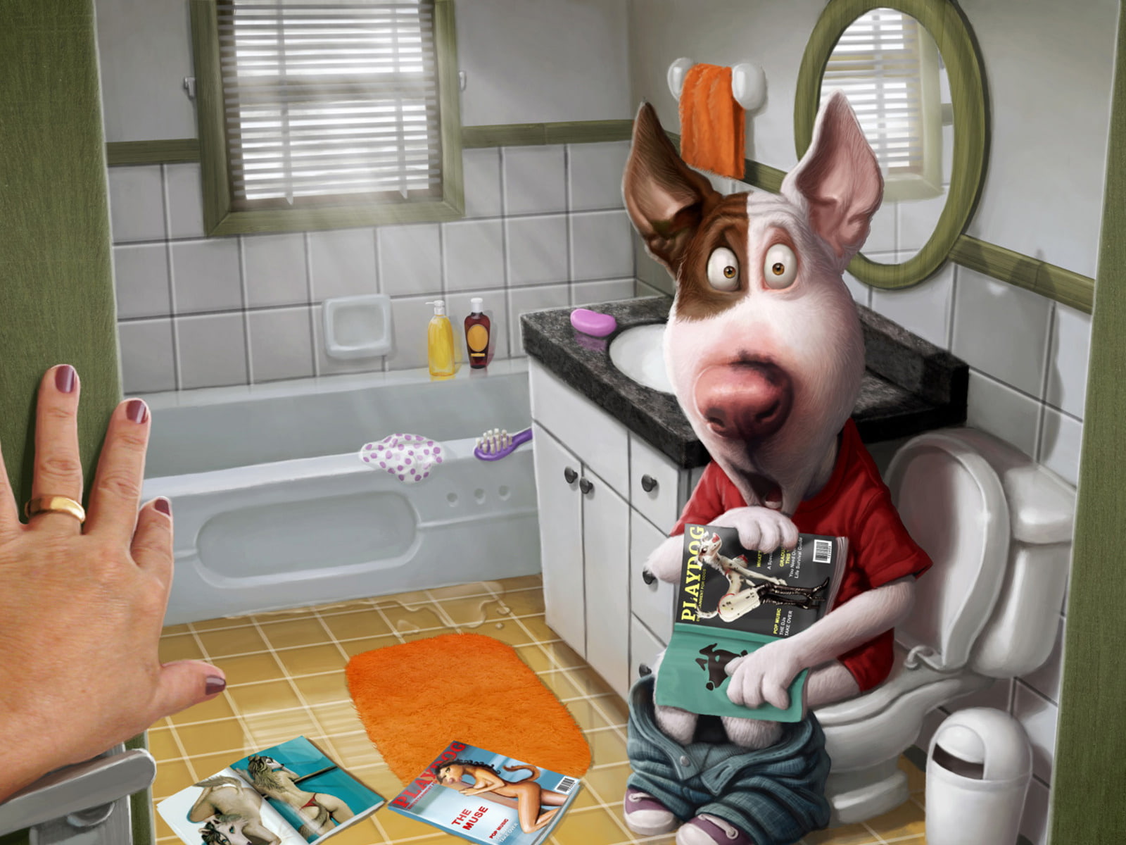 pet owner, illustration, caucasian Ethnicity, magazines, humor, hygiene, mistress, installing, lifestyles, equipment, mammal, one Person, men, domestic Kitchen, HD Wallpaper