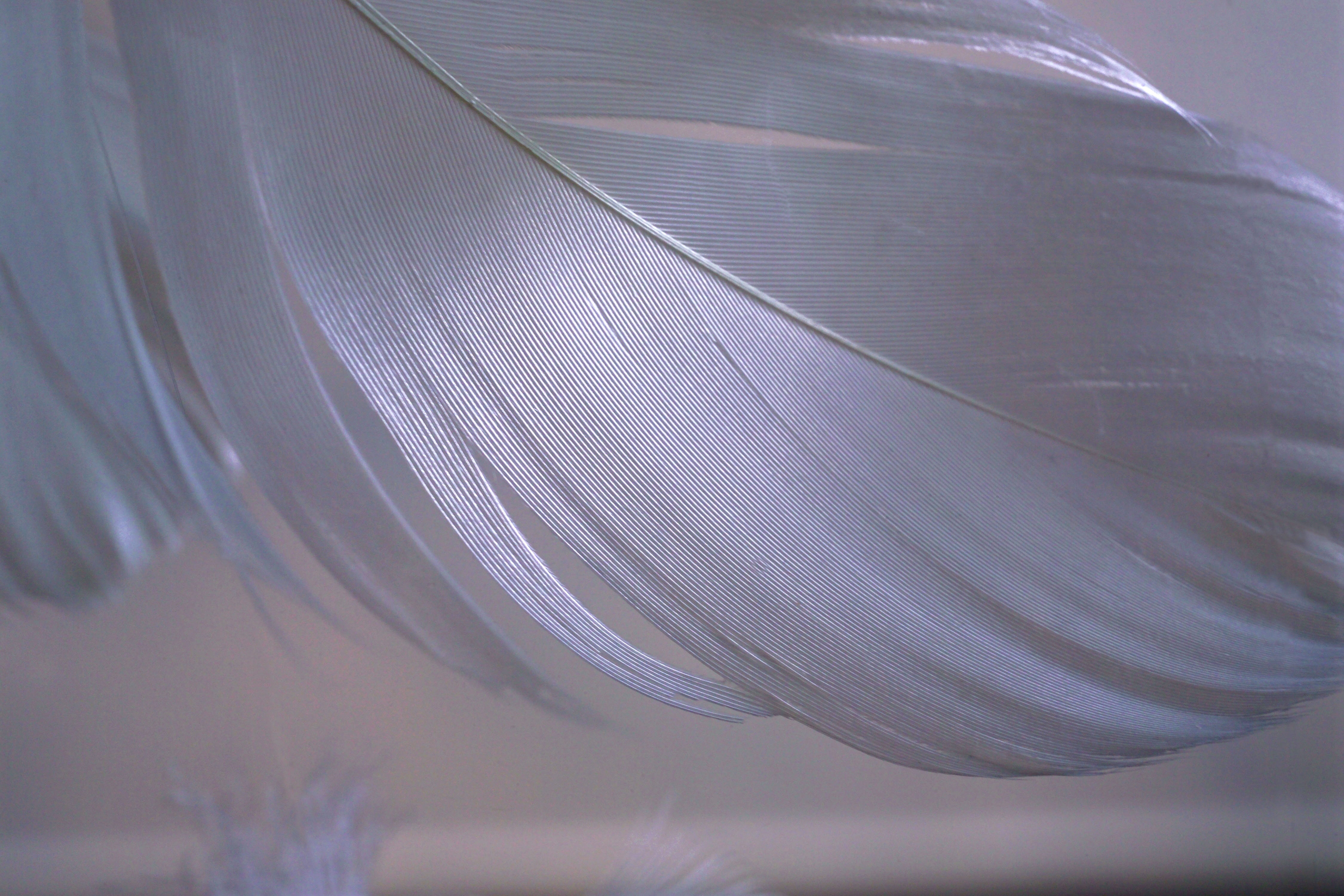 silver colored, protection, steel, detail, metal, alloy, equipment, industry, no people, pattern, textile, spring, lightweight, plastic, indoors, macro, HD Wallpaper