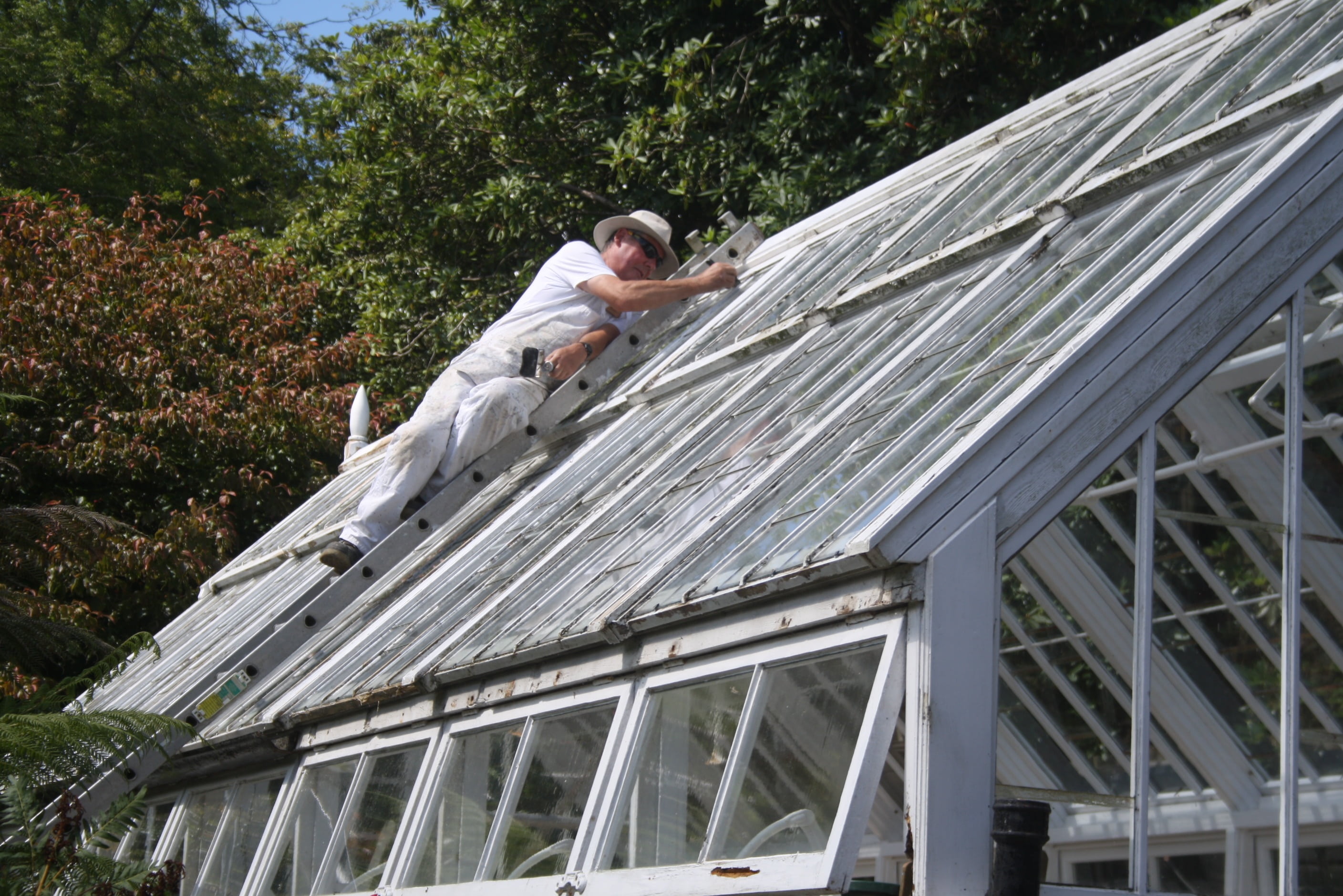 greenhouse, horticulture, mid adult, man, garden, job, grow, outdoors, construction Industry, adult, architecture, females, building exterior, two people, HD Wallpaper