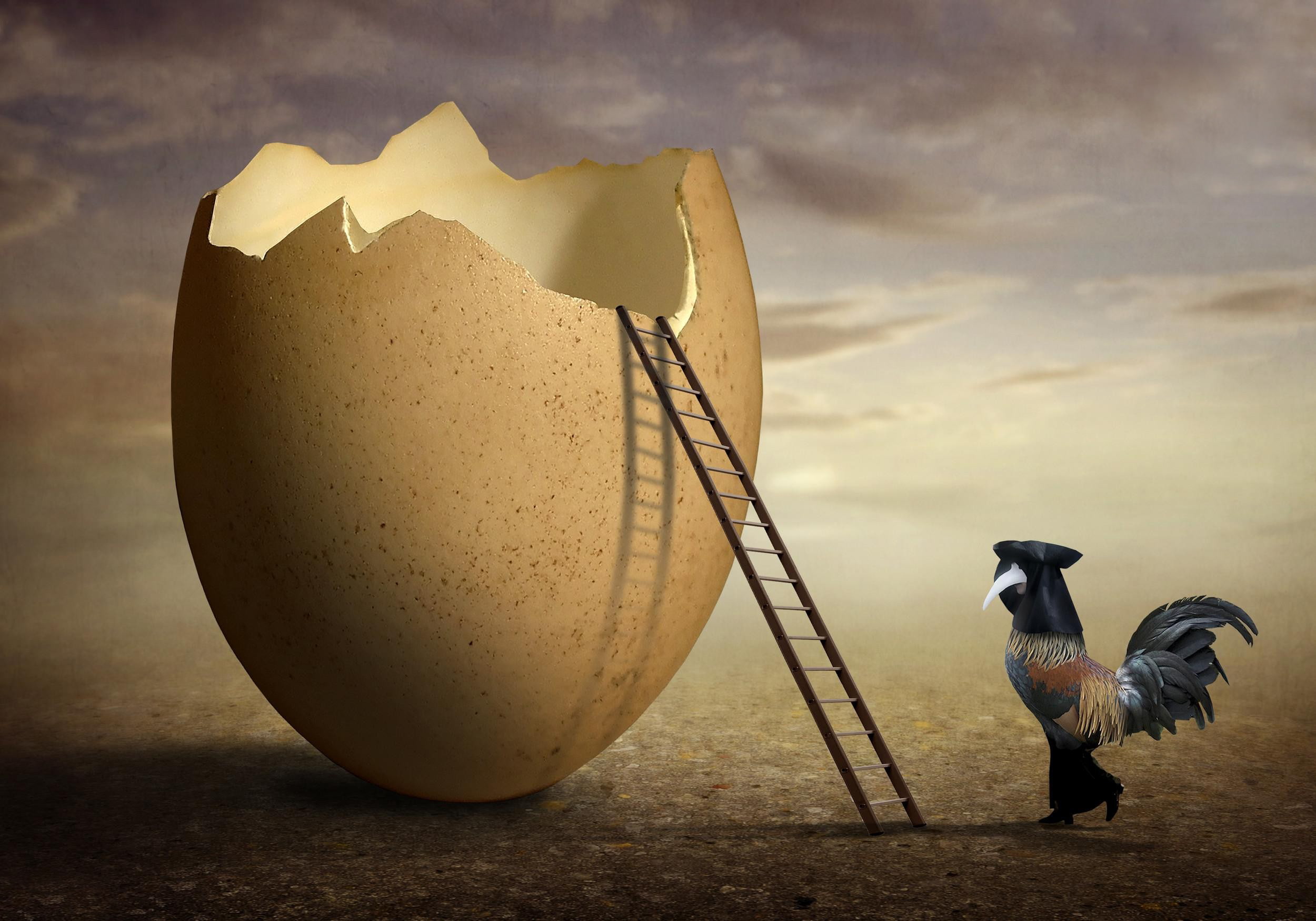 1080P, The inspector, cock, egg, art, shell, HD Wallpaper