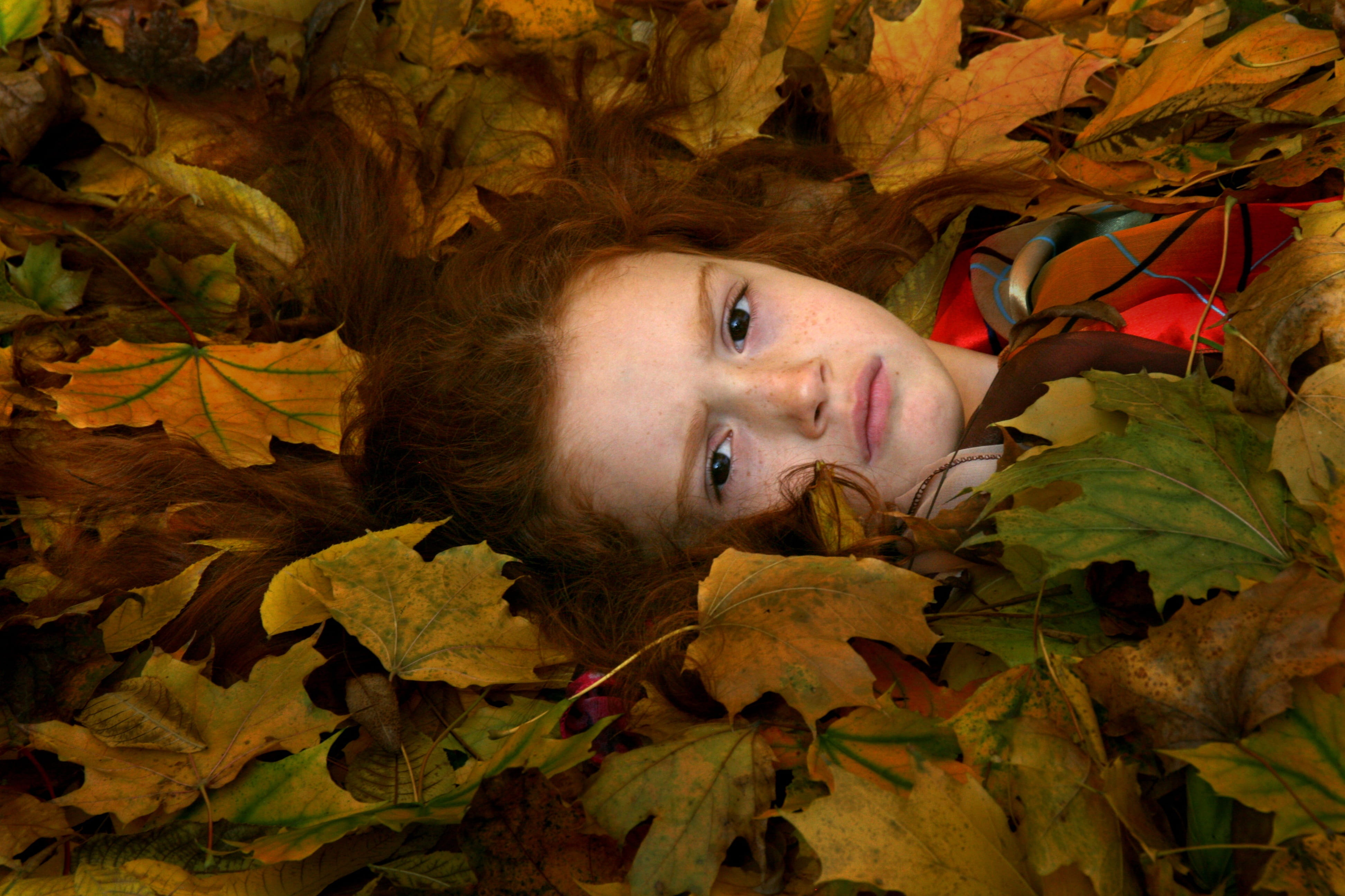 lying, plant, autumn, sleep, lying on back, leaf, beautiful woman, lye, looking at camera, front view, sleeping, headshot, leaves, hairstyle, adorable, HD Wallpaper