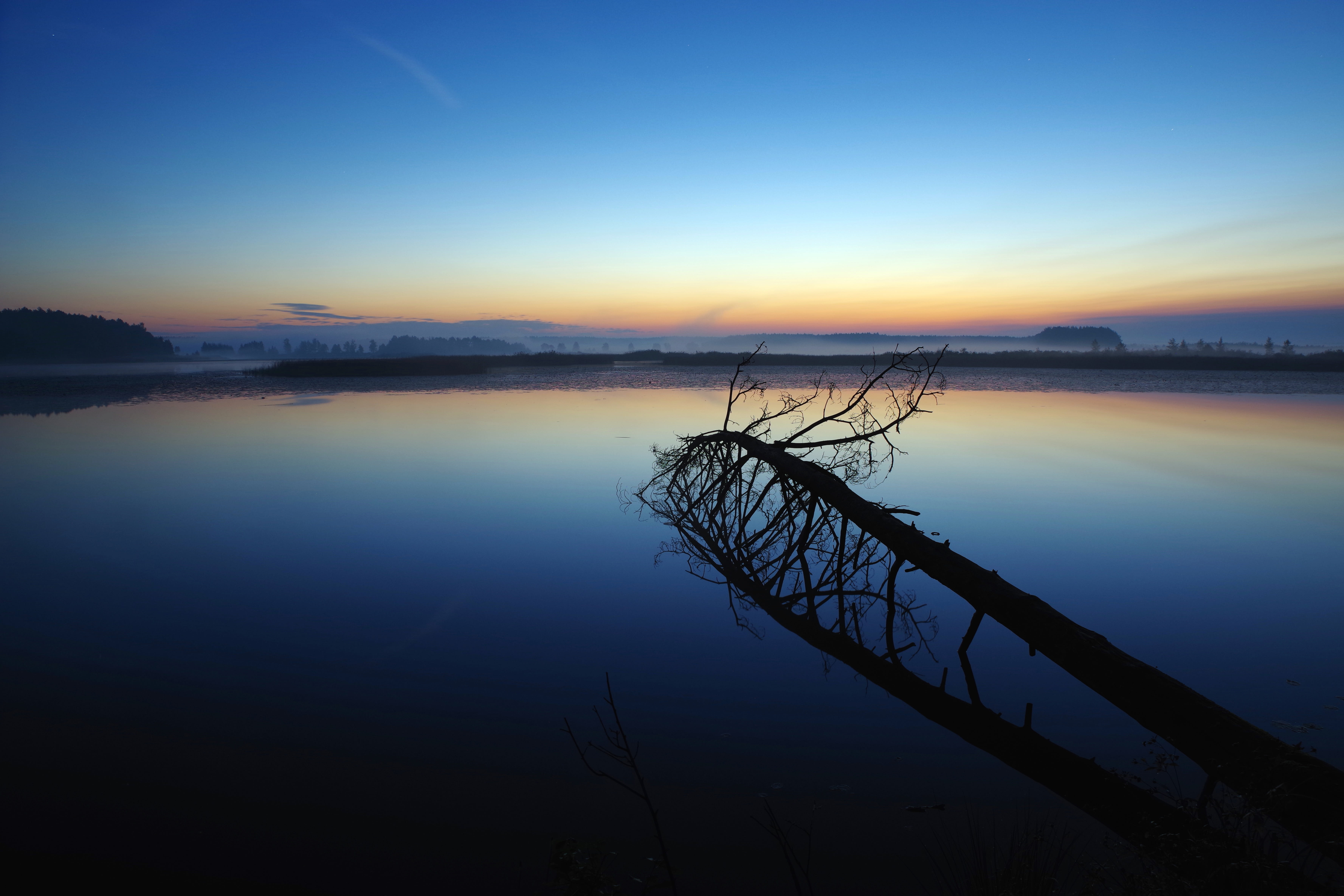 clear sky, tranquility, outdoors, scenics - nature, lake, tranquil scene, beauty in nature, idyllic, plant, nature, dawn, reflection, landscape, the nature reserve, HD Wallpaper