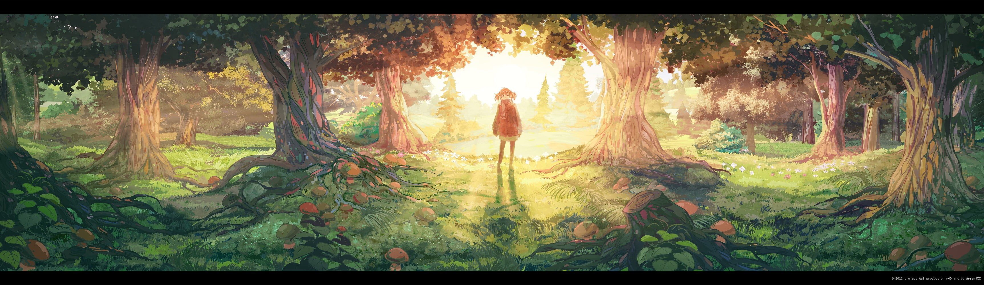 trunk, tranquility, anime girls, 2K, growth, no people, woodland, forest, landscape, auto post production filter, beauty in nature, nature, tranquil scene, HD Wallpaper