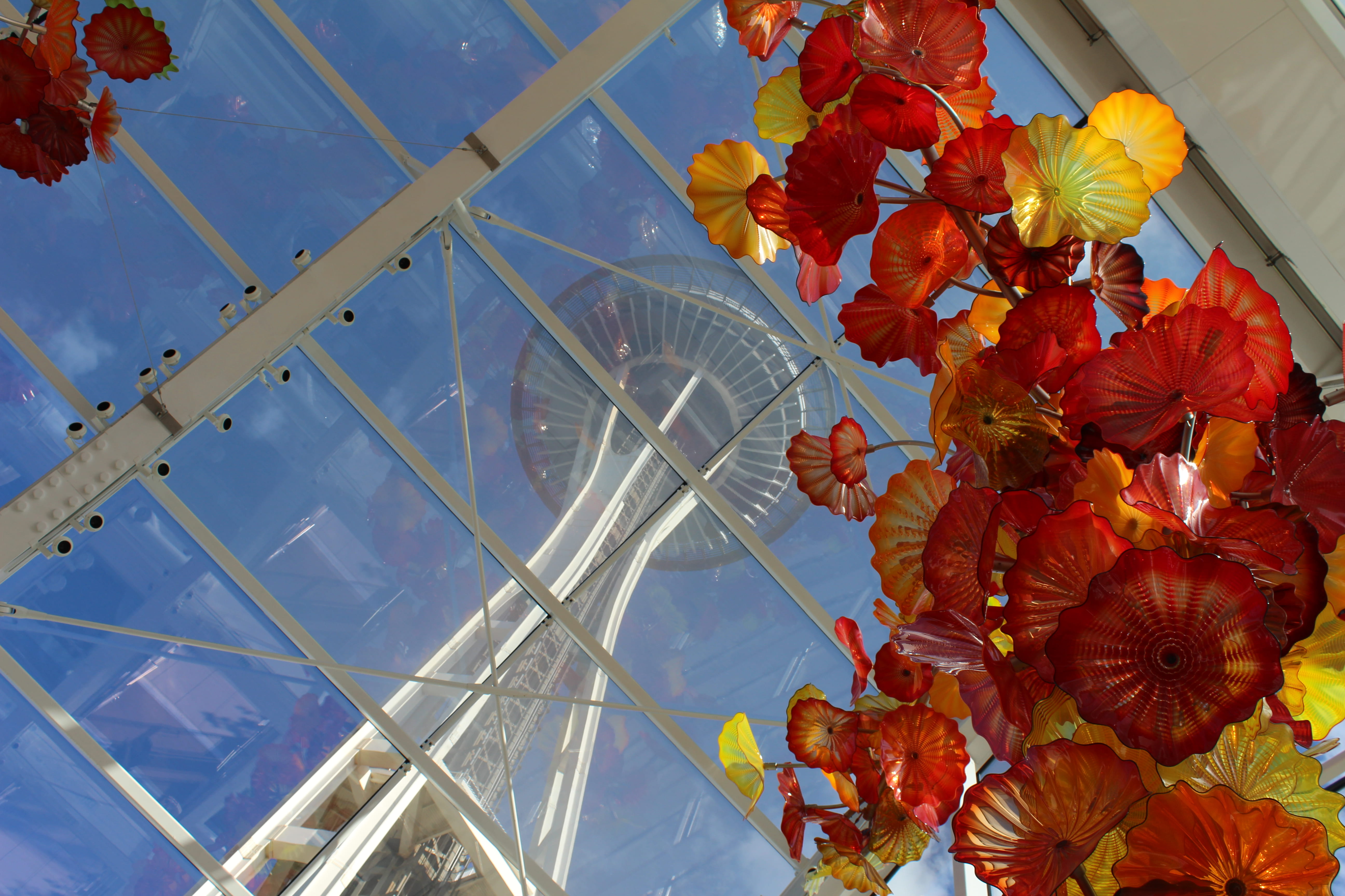 flowering plant, space, tower, pattern, toronto, daytime, flower head, 5K, space needle, low angle view, ceiling, glass, window, sky, view, beauty in nature, HD Wallpaper