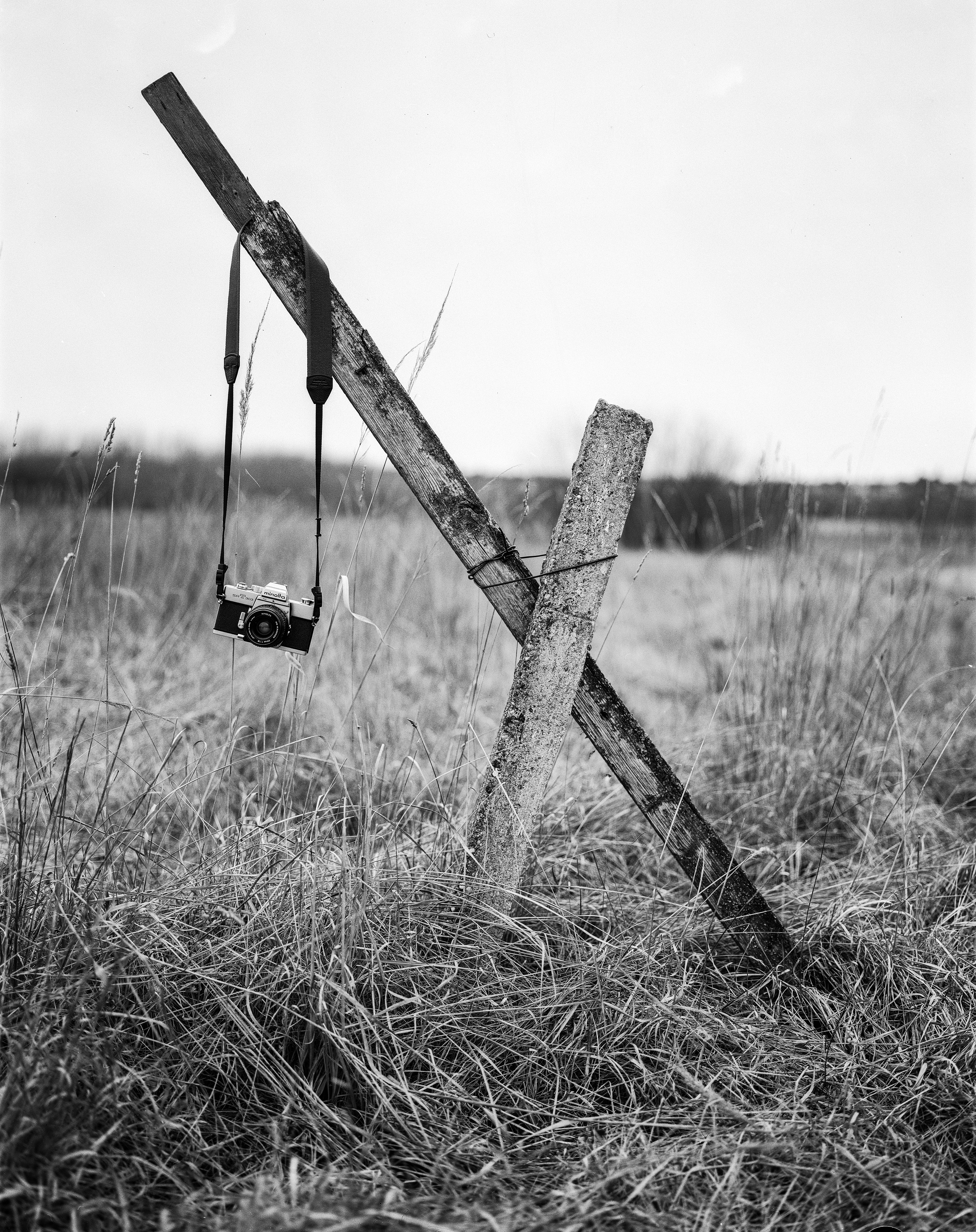 focus on foreground, tranquility, rural scene, old, 5.6, nature, plant, fomapan, 4x5, schneider, x, wood - material, cambo, monorail, symmar, abandoned, Phone HD Wallpaper