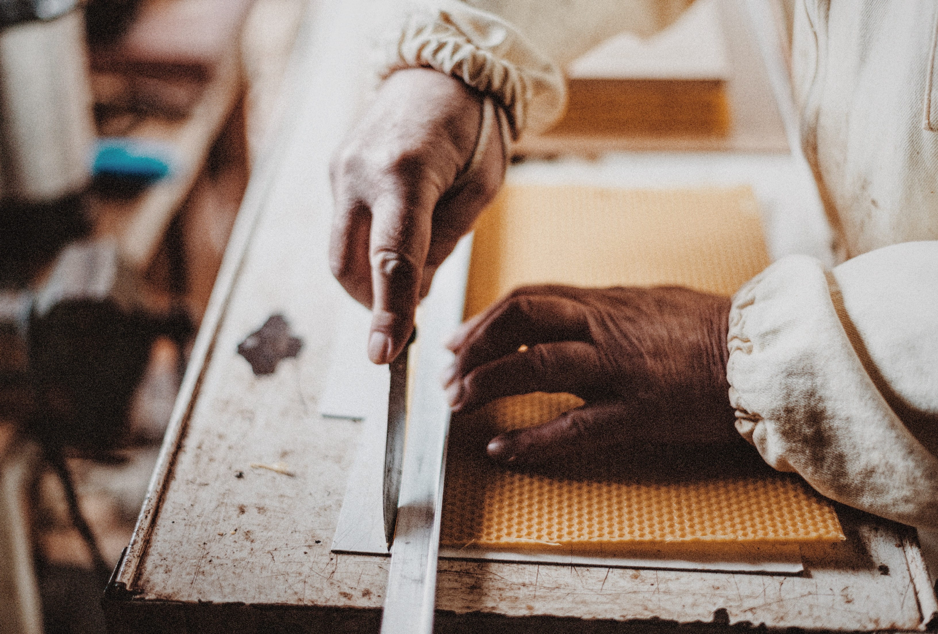 entrepreneur, skill, cut, paper, focus on foreground, workbench, artist, holding, workshop, wood, hand, chisel, indoors, creativity, 2K, one person, human body part, HD Wallpaper