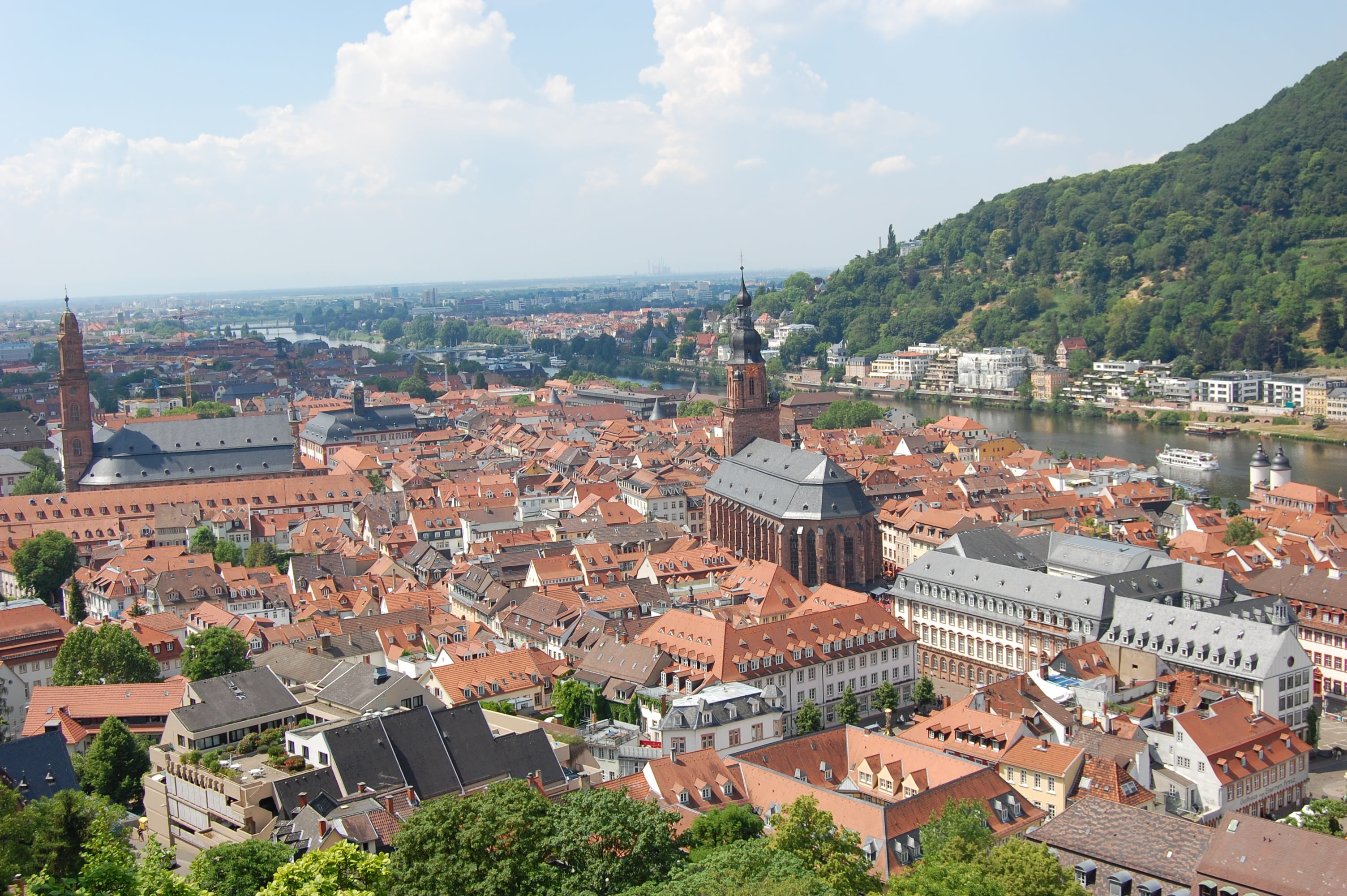 tree, crowded, building exterior, plant, building, roof, high angle view, sky, steeple, church, nature, day, city, historical city, heidelberg, architecture, HD Wallpaper