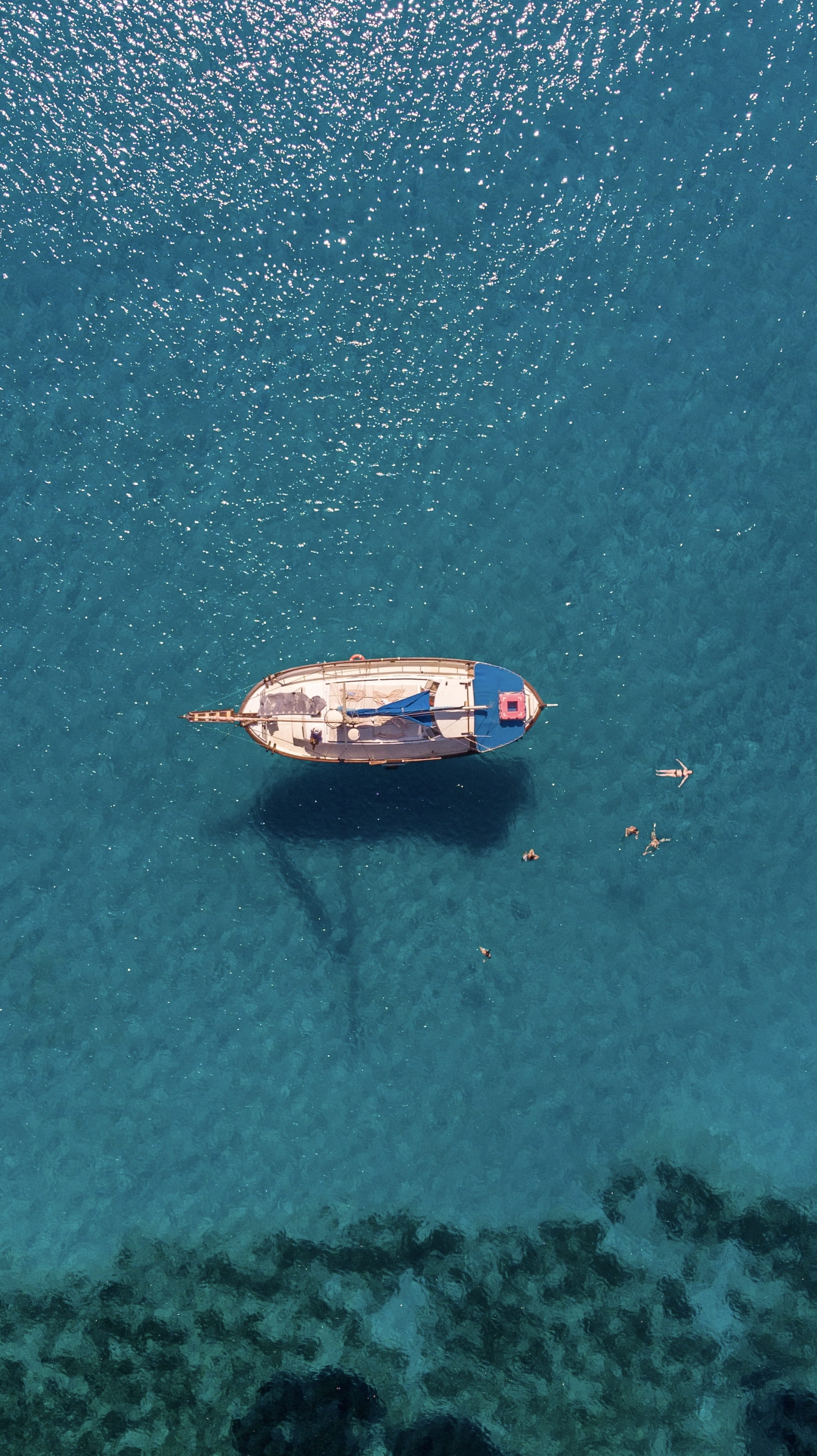 green, floating, tranquility, blue, animal, beauty in nature, cape greko, waterfront, 2K, boat, watercraft, sea, aircraft, bird, floating on water, cyprus, Phone HD Wallpaper