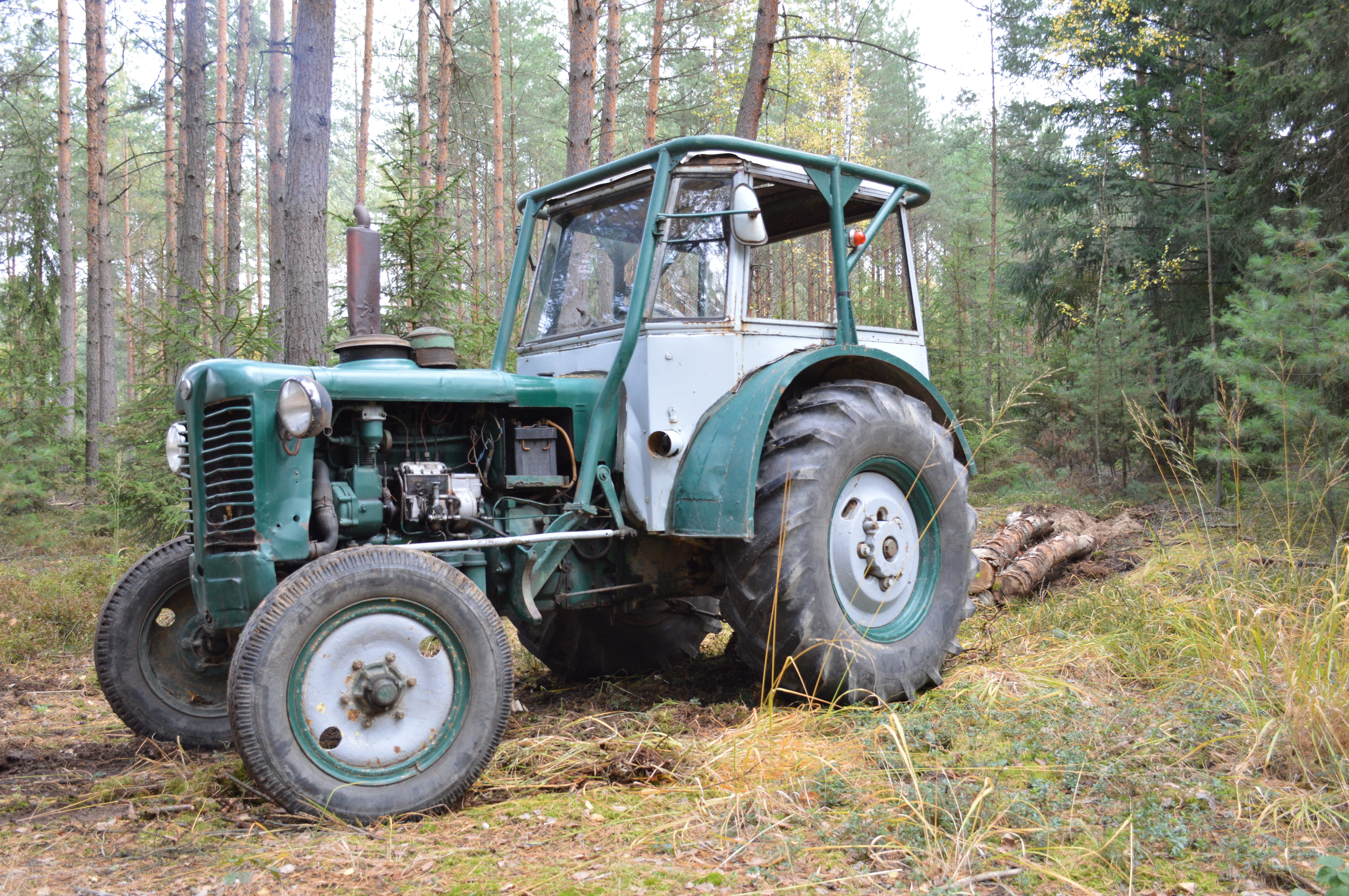abandoned, tire, growth, technique, tractor, nature, metal, landscape, old tractor, stationary, land, 5K, hauling firewood, outdoors, old, woodland, wheel, HD Wallpaper