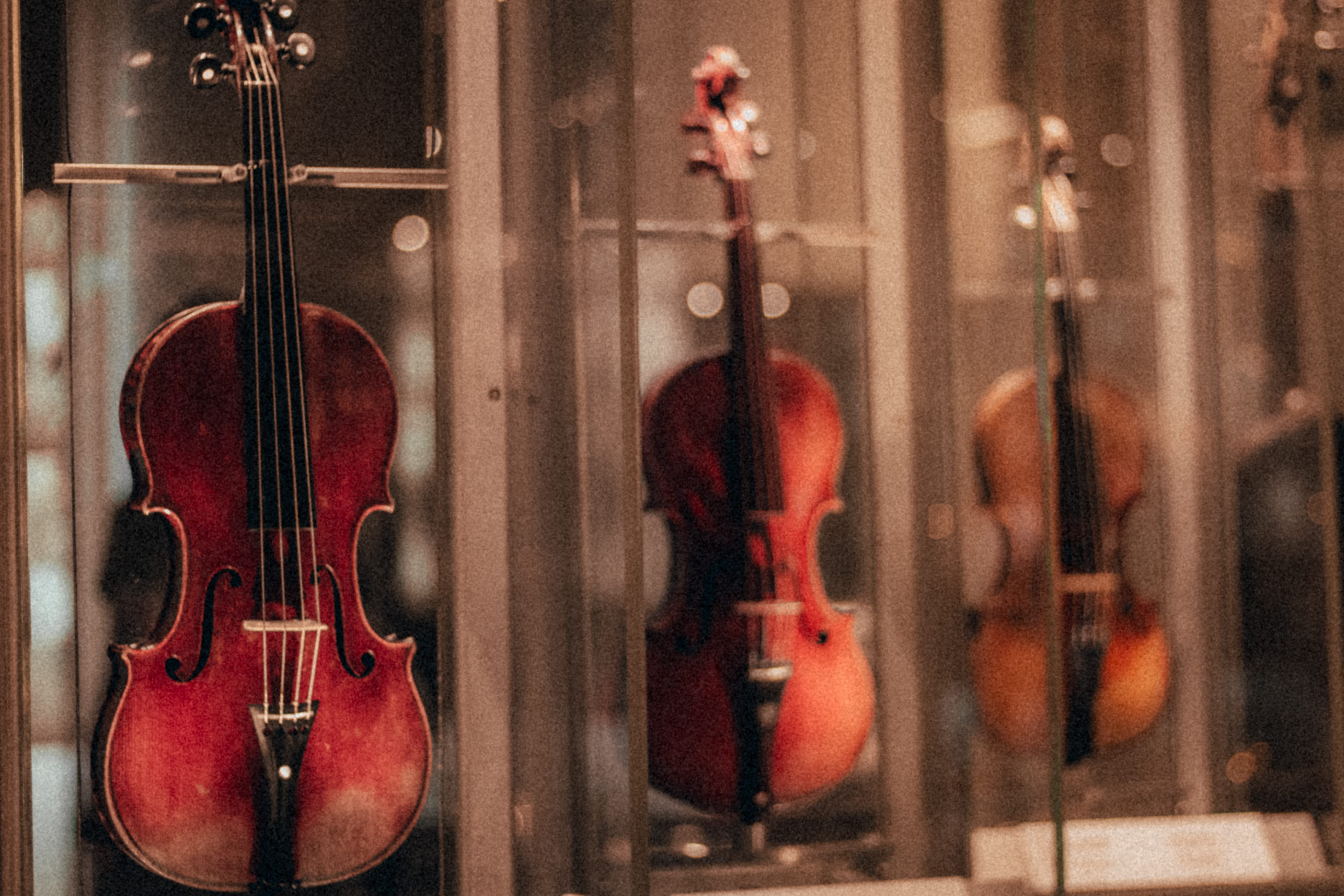 no people, bow - musical equipment, arts culture and entertainment, string instrument, music, double bass, retail, close-up, indoors, hanging, musical instrument string, HD Wallpaper