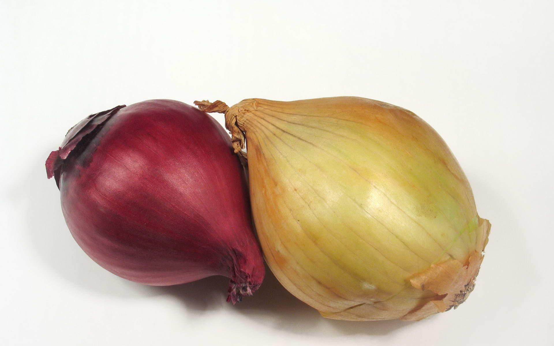 1920x1200, onion, 1080P, maroon, onions, photography, brown, HD Wallpaper