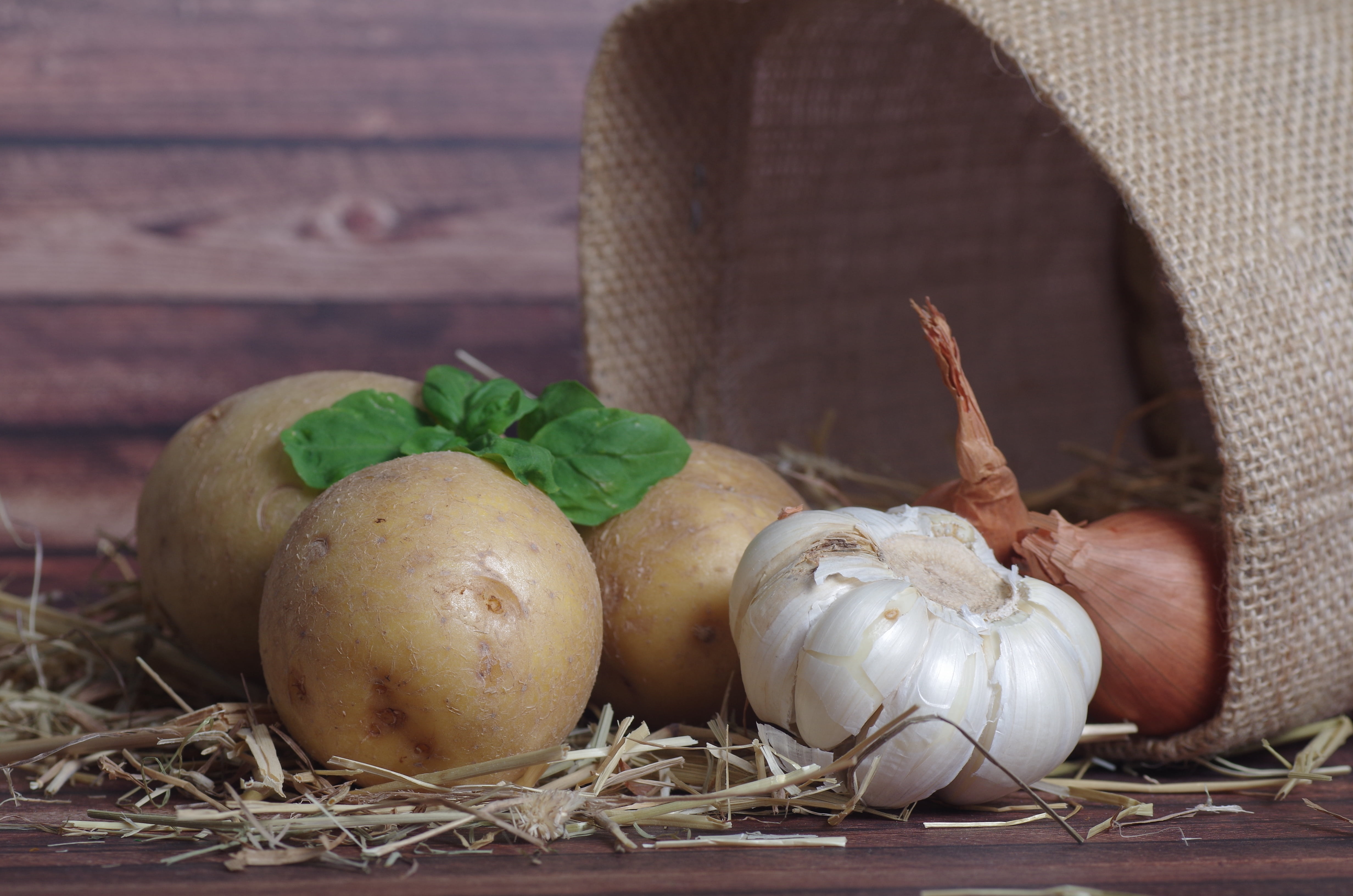 bulb, outdoors, plant, day, vegetarian, garlic, leaf, vegetables, food and drink, nature, table, wellbeing, peel potatoes, plant part, animal themes, still life, HD Wallpaper