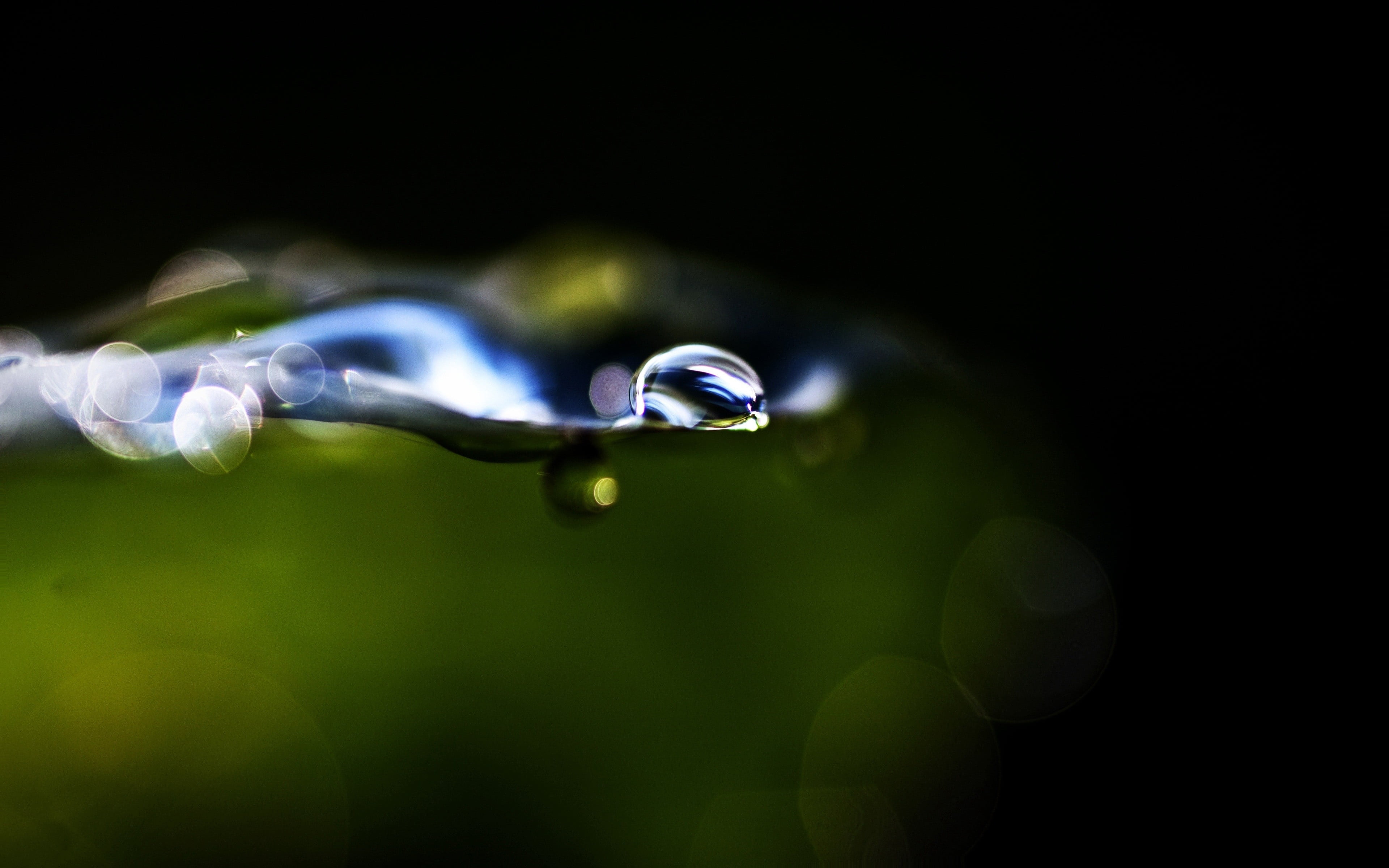splashing, reflection, clean, bubble, freshness, black background, close-up, leaf, blue, transparent, bright, no people, indoors, studio shot, green Color, HD Wallpaper