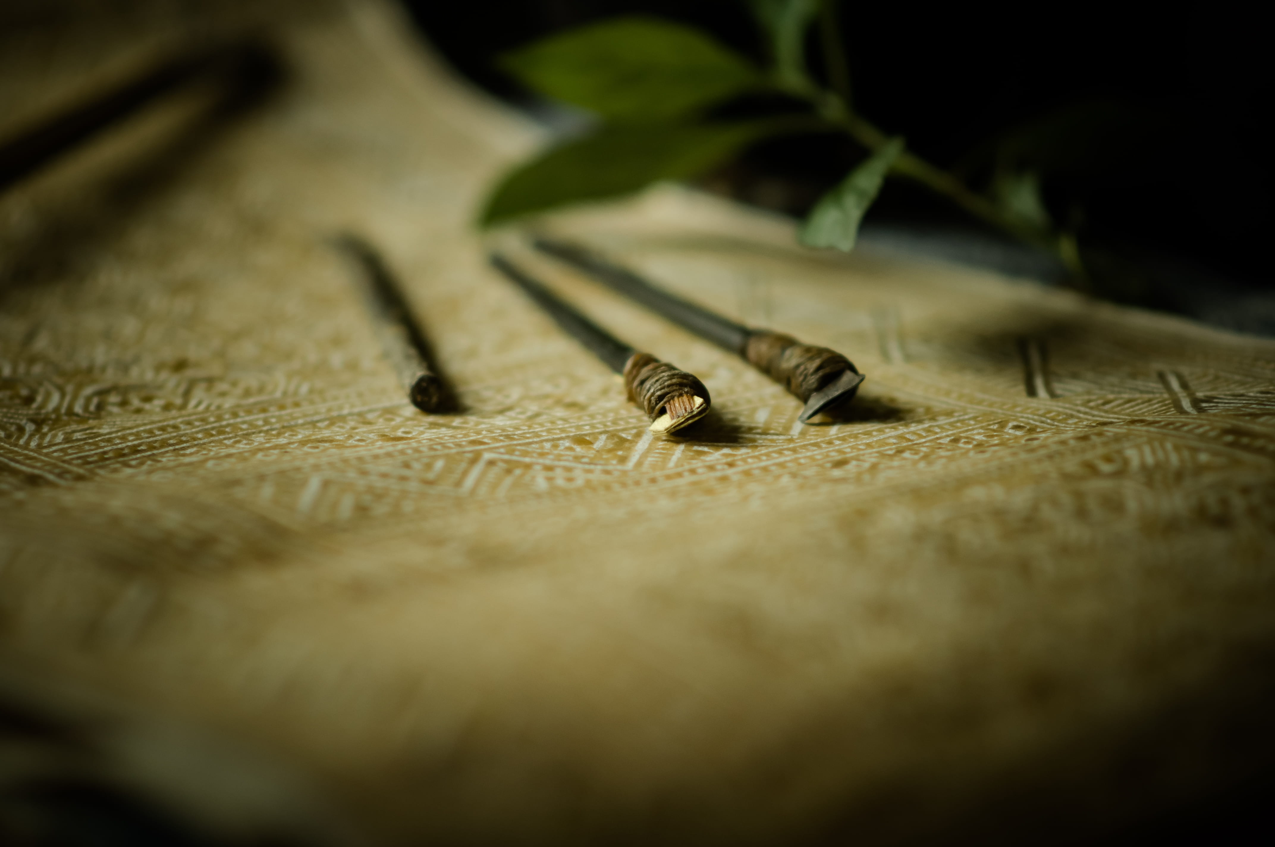 batik, insect, no people, leaf, selective, fabric, close-up, animal, one animal, object, worm, textile, invertebrate, extreme close-up, artist, tool, nature, HD Wallpaper