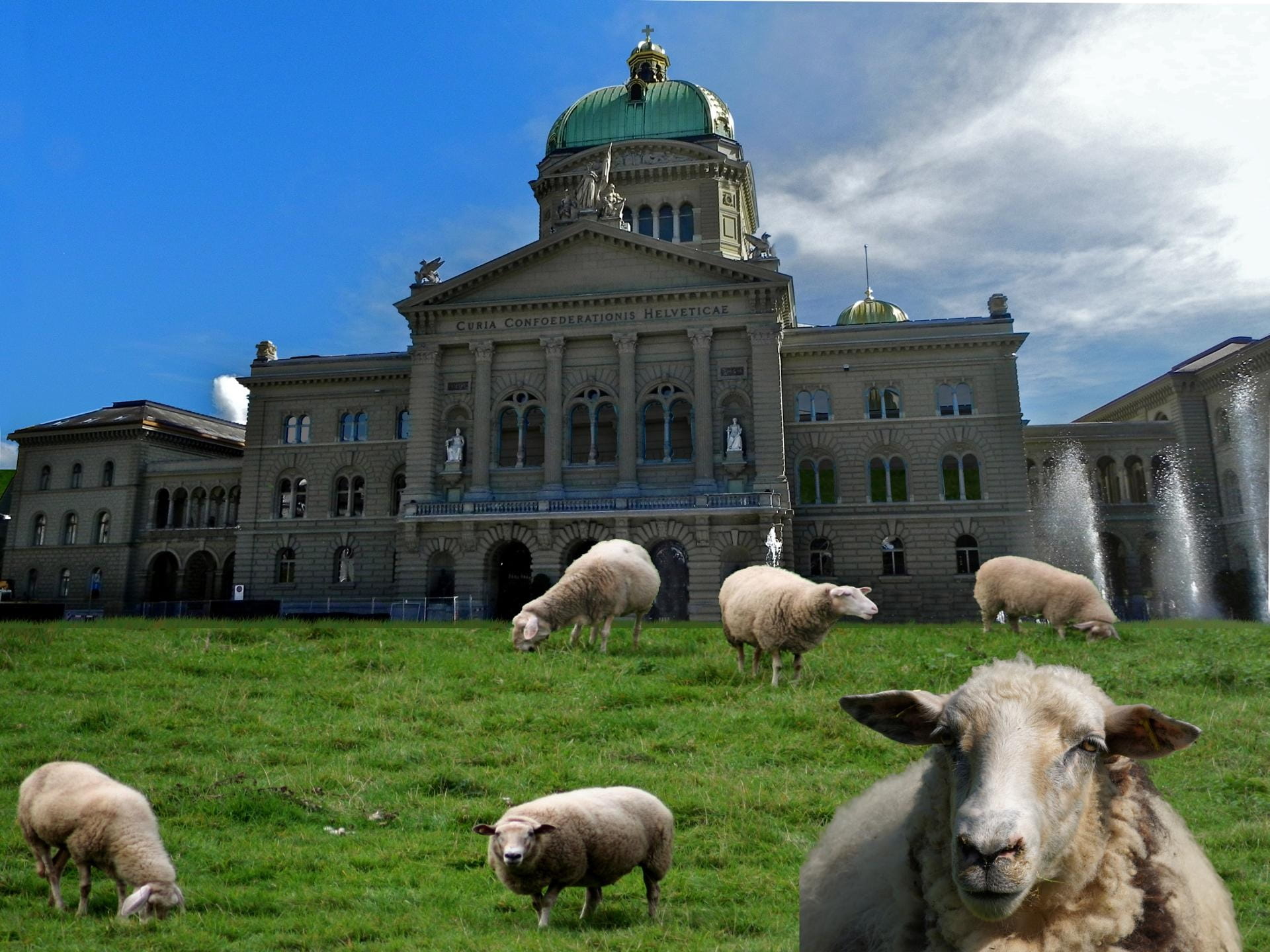 government, building, field, seat of government, plant, meadow, 1080P, flock, sky, animal themes, animal, green, pets, no people, group of animals, grass, HD Wallpaper