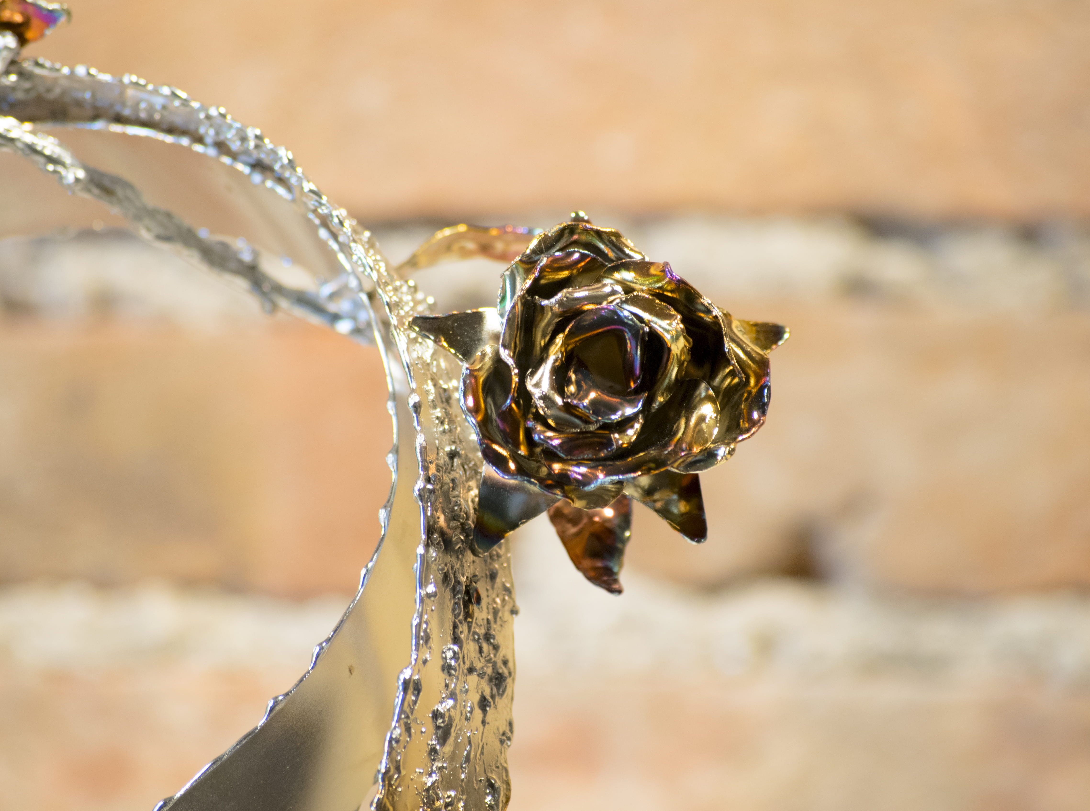 metal, jewelry, close-up, motion, gold colored, insect, sea, diamond, elia clerici, ielix, day, outdoors, accessories, wealth, bricks, selective focus, HD Wallpaper