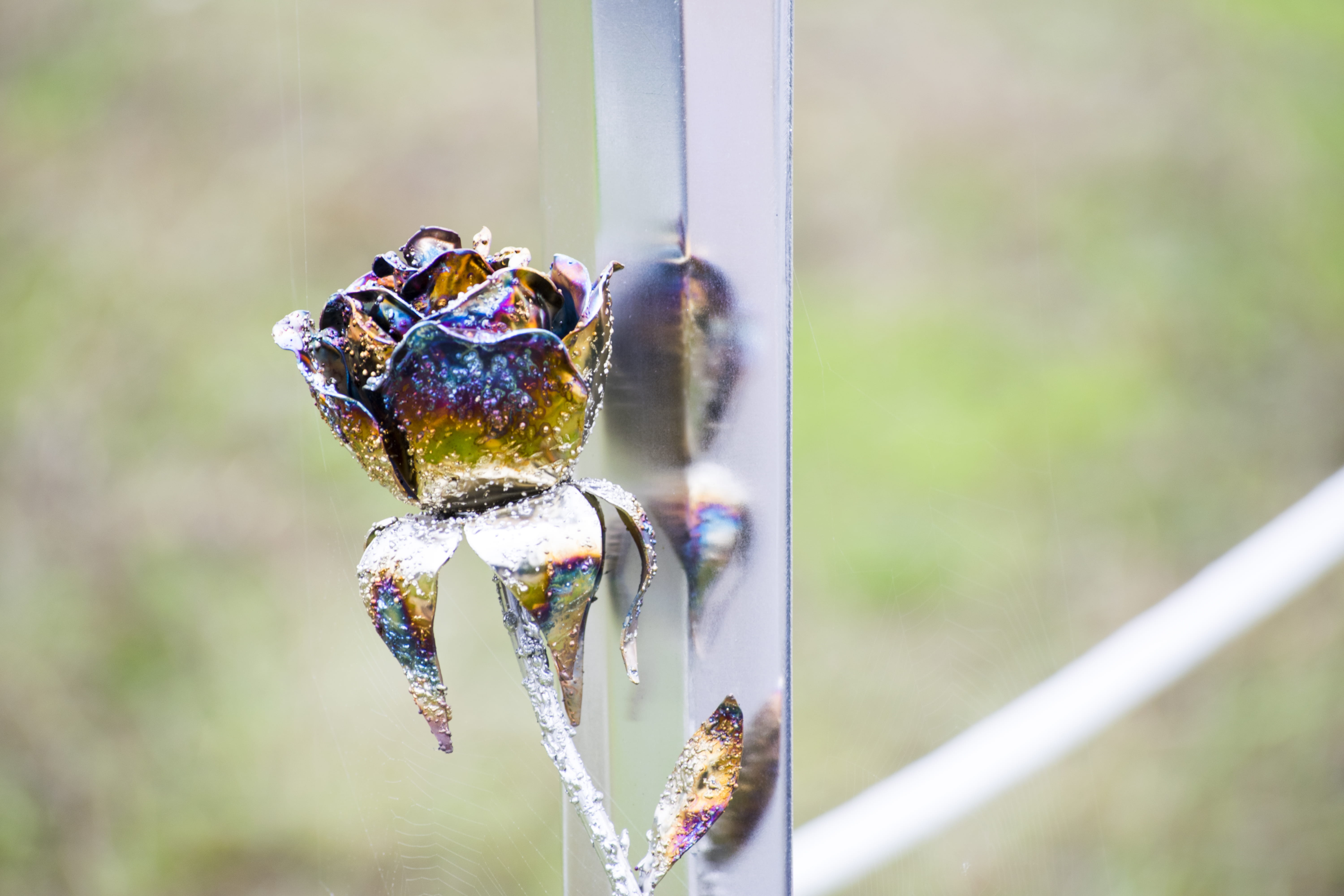 snow, invertebrate, rose, animal themes, crystal, ice, one animal, iron, advertisement, animal eye, metal, no people, steel, ielix, day, close-up, focus on foreground, HD Wallpaper