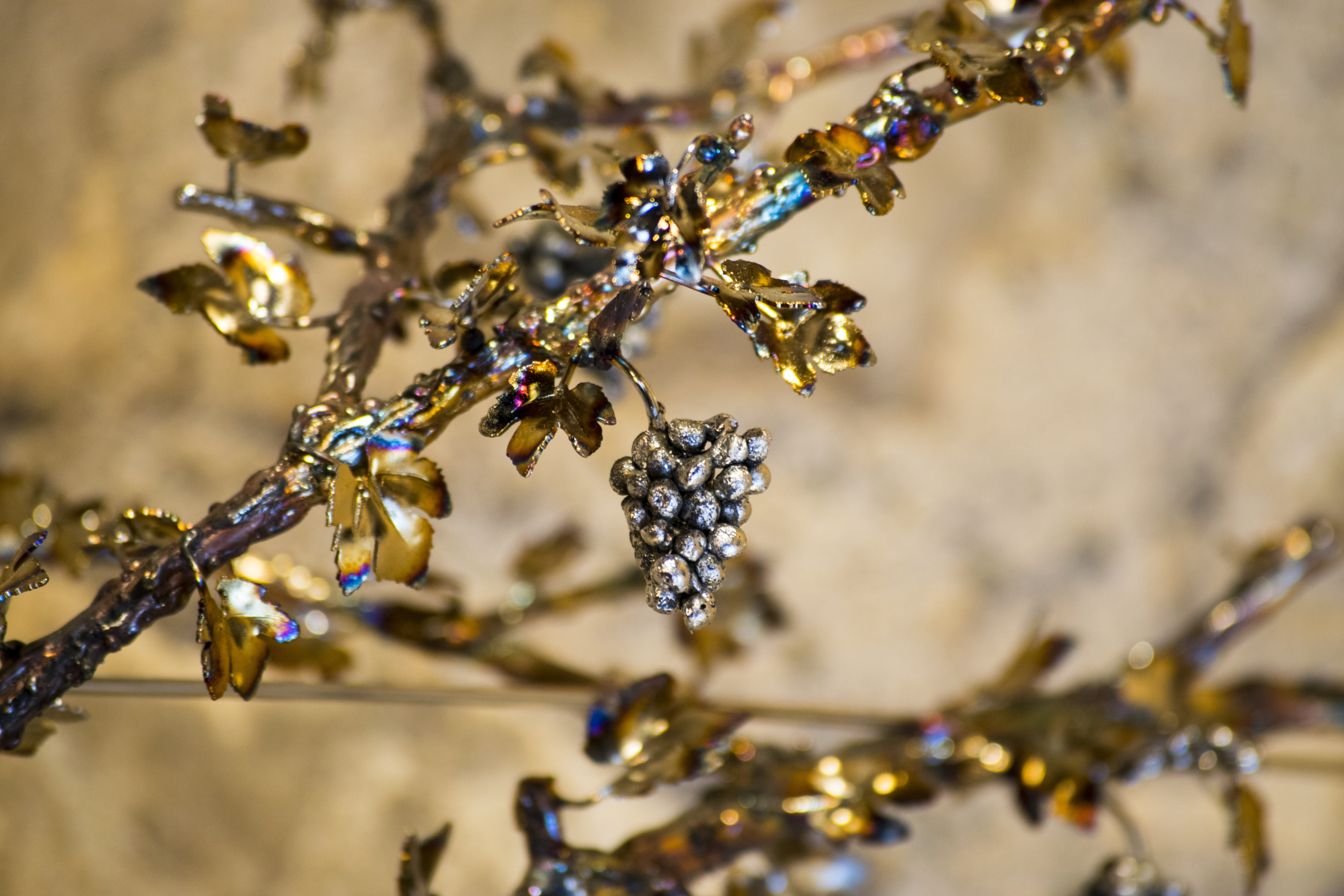 iron, steel, screw, giuliano negretto, animal, selective focus, invertebrate, luxury, gold, wealth, animals in the wild, jewelry, vintage, metallic, art, HD Wallpaper