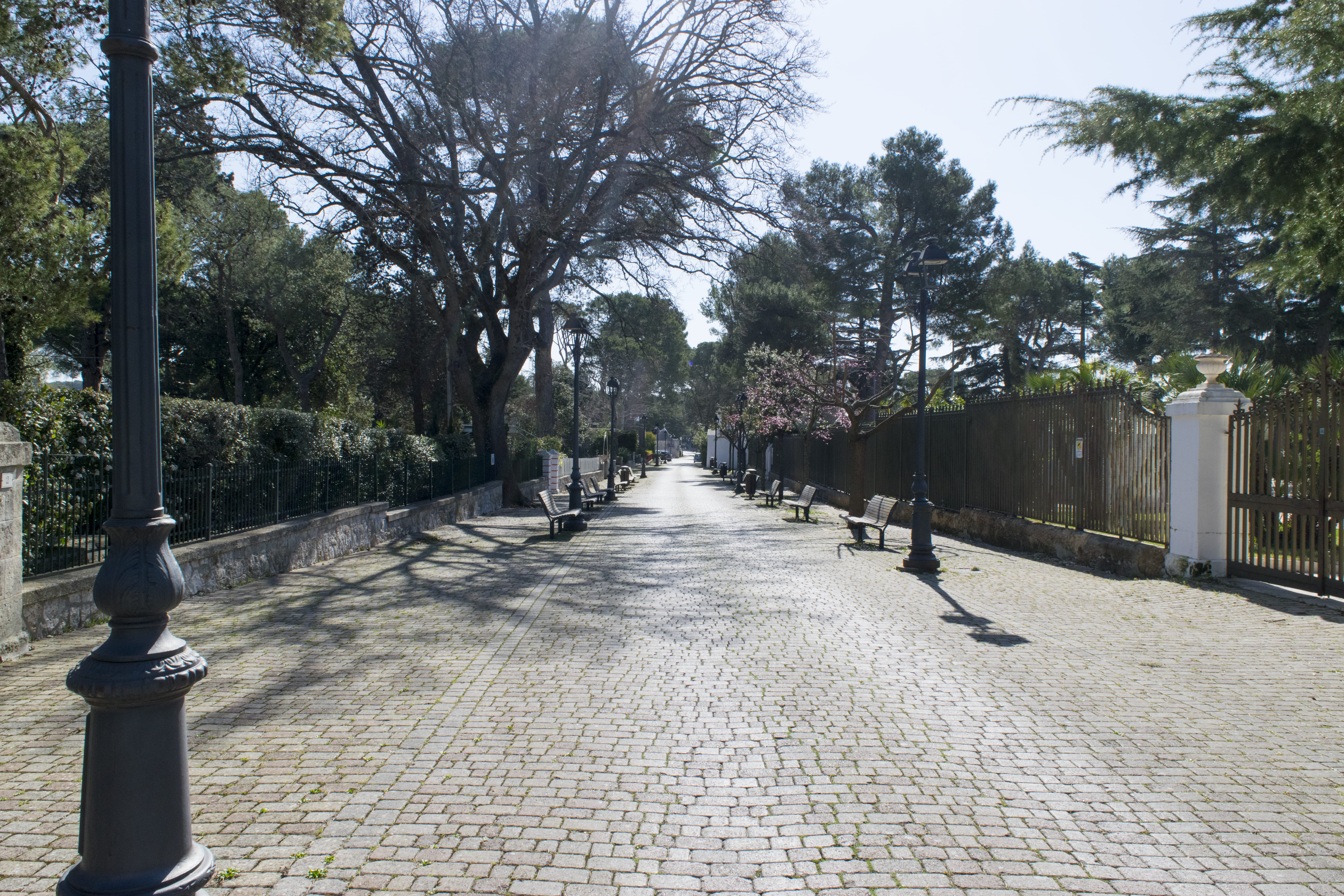 footpath, direction, urban, cobblestone, flagstone, town, park, day, long, diminishing perspective, the way forward, outdoors, street, bench, nature, pavement, HD Wallpaper
