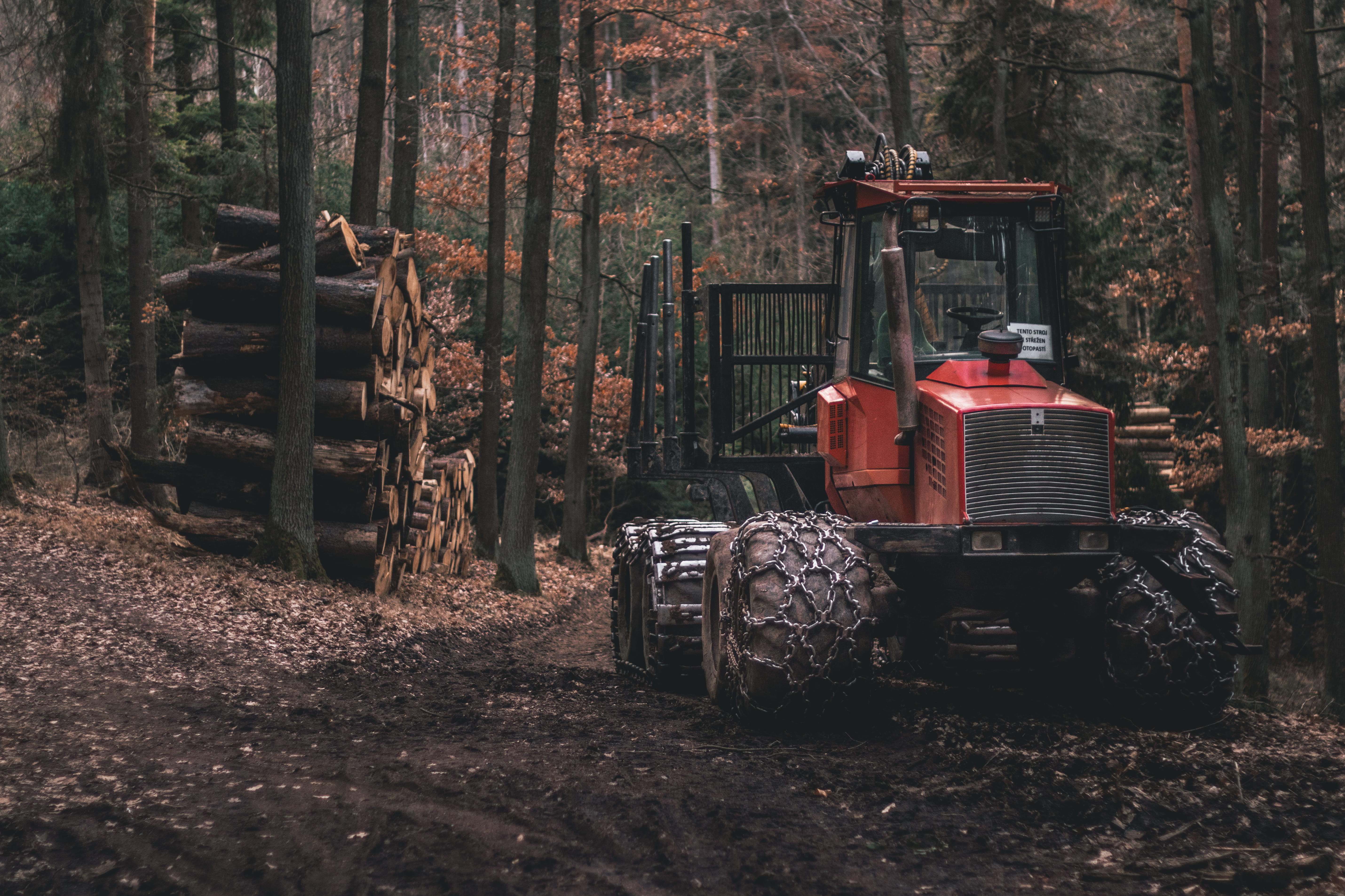 land, tire, no people, condo, bulldozer, wood, forest, flare, growth, tractor, outdoors, ground, gravel, construction, land vehicle, field, tree trunk, HD Wallpaper