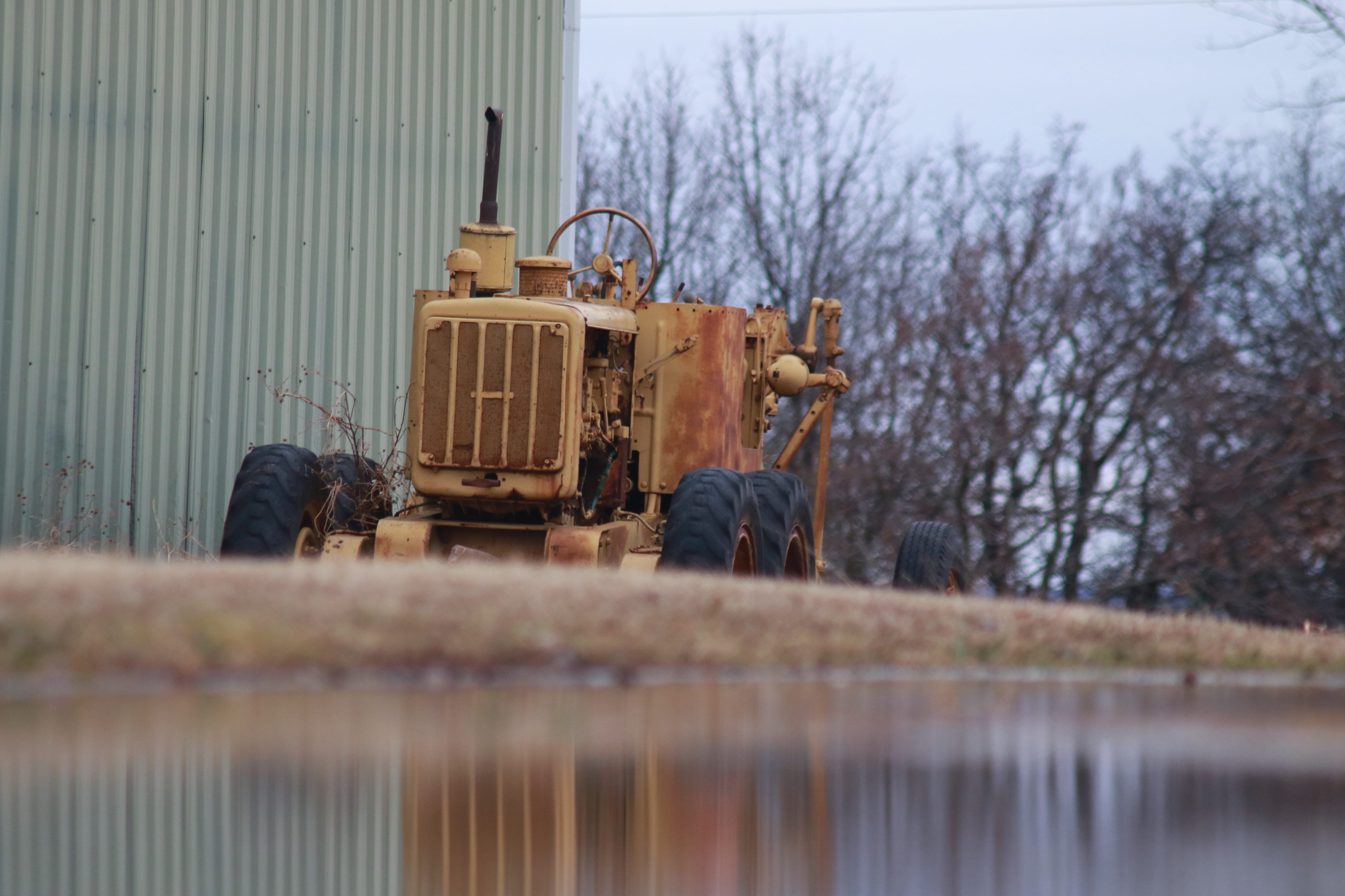 heavy, nature, landing, animal, transportation, bird, aircraft, equipment, road grader, snowplow, watercraft, outdoors, reflection, selective focus, lake, HD Wallpaper