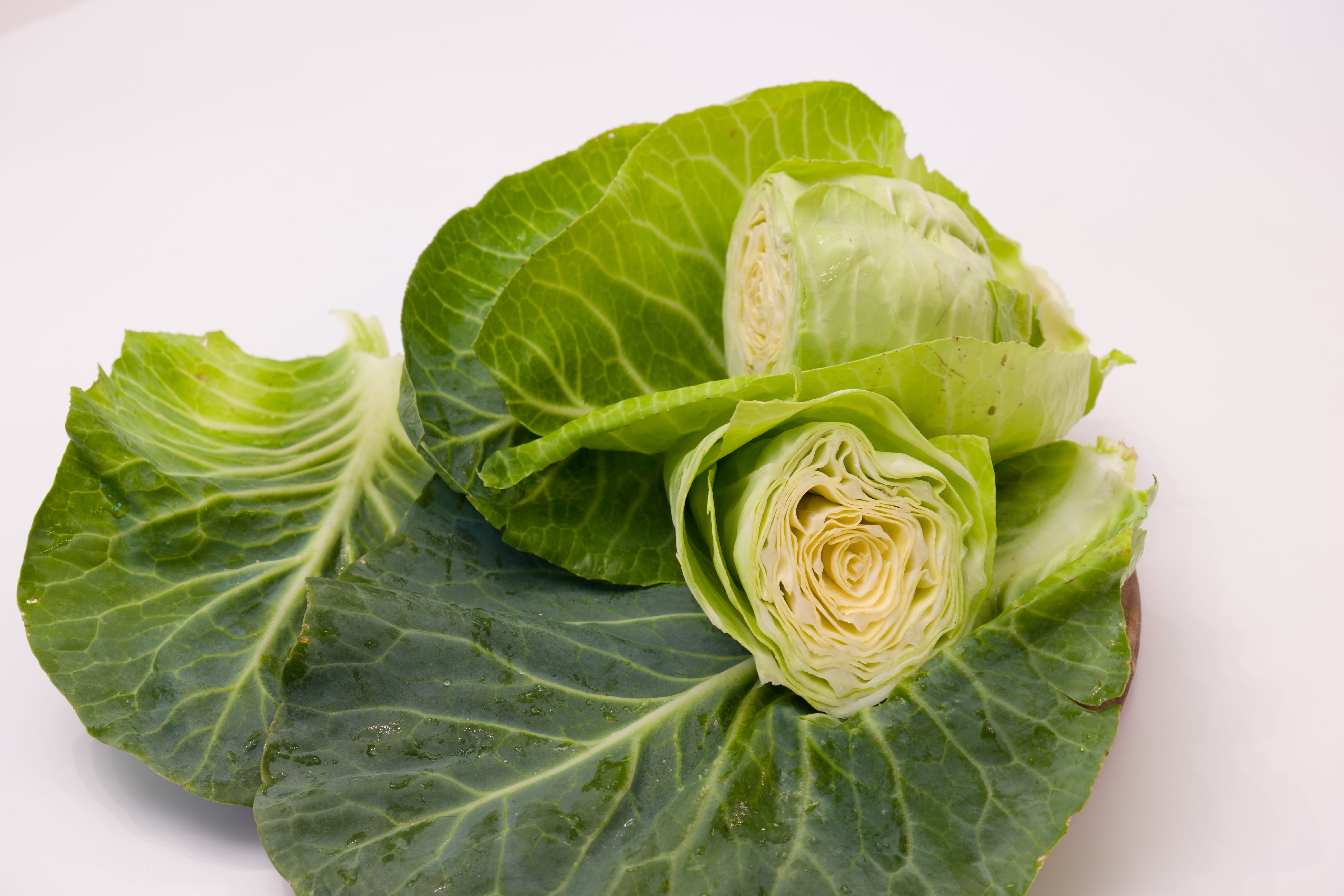nature, close-up, leaves, cut out, vegetables, freshness, plant part, vegetable, food, 5K, indoors, dieting, food and drink, green color, kohl, no people, HD Wallpaper