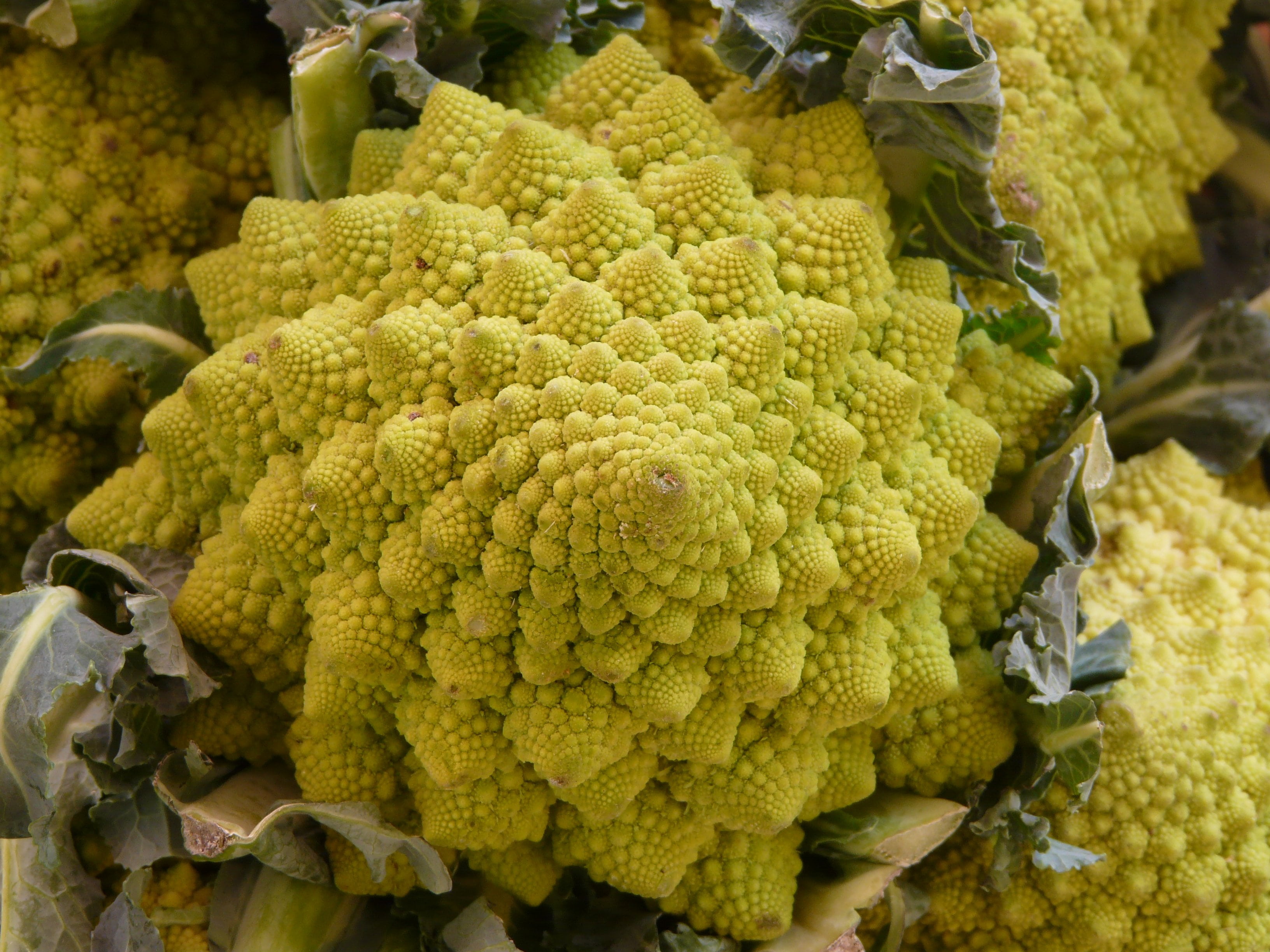 healthy eating, cauliflower, abundance, still life, vegetables, kohl, eat, no people, vitamins, day, wellbeing, full frame, food and drink, freshness, vegetable, HD Wallpaper