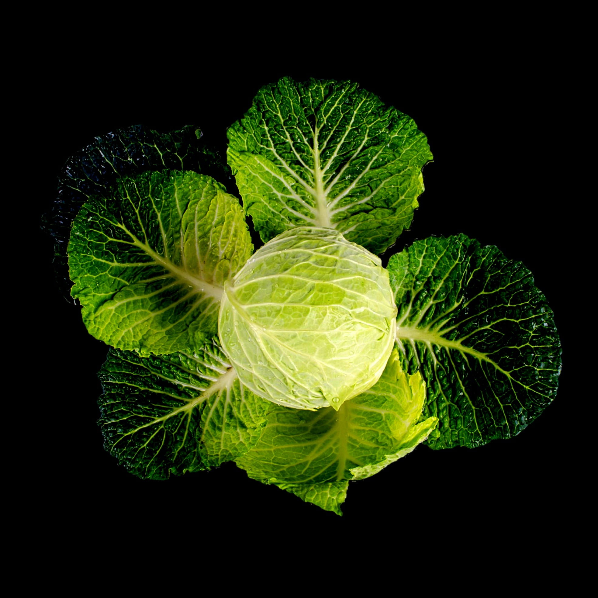 background, dieting, green, bio, white, studio shot, green color, ingredient, vegetarian food, kale, food and drink, raw, 1080P, agriculture, nobody, vegetarian, Phone HD Wallpaper