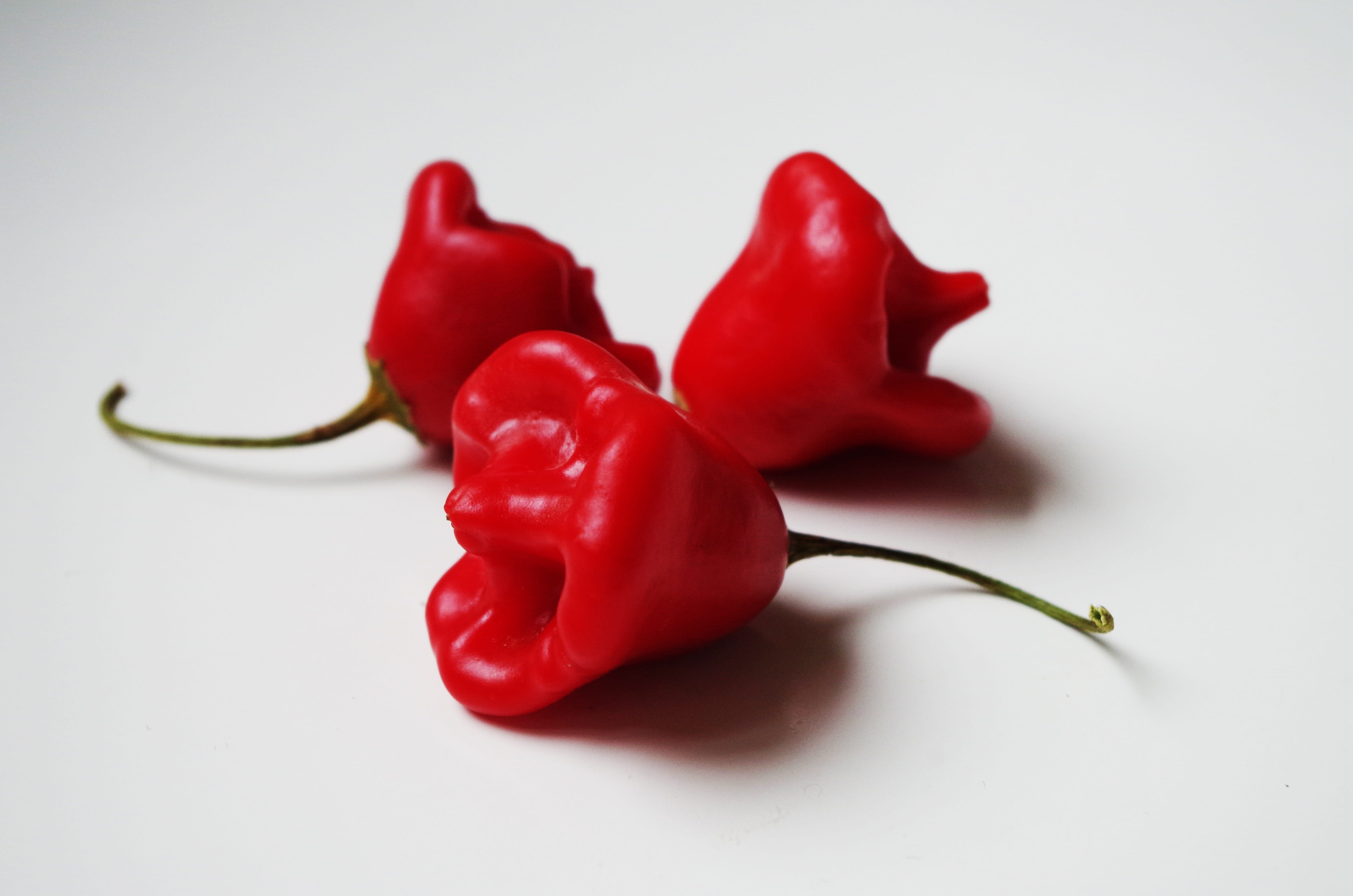 no people, episcopal hat, food and drink, a variety, plant stem, healthy eating, paprika, freshness, red bell pepper, chili pepper, bell pepper, indoors, HD Wallpaper