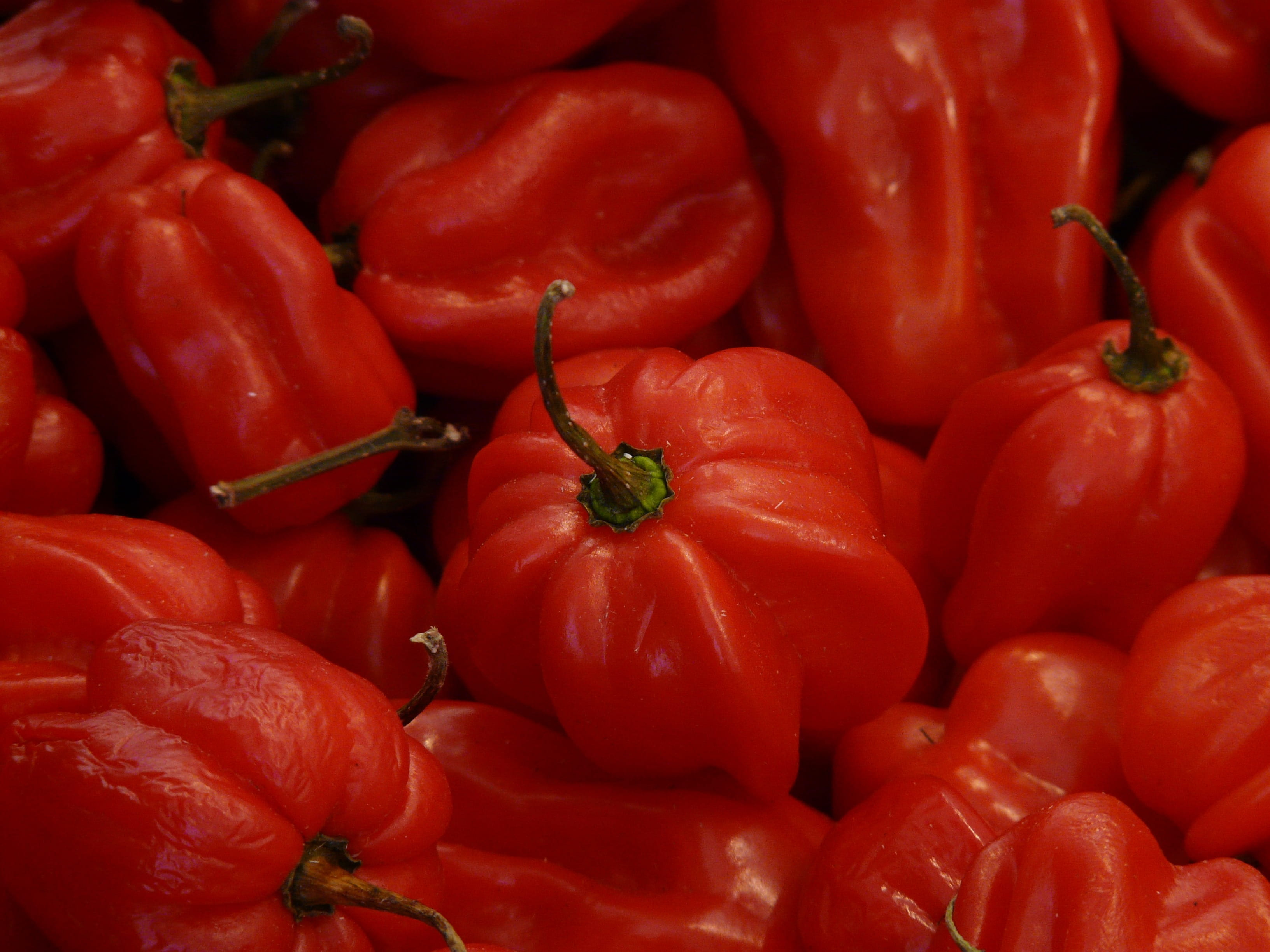 fruits, full frame, capsaicin, tomato, solanaceae, retail, 2K, chili, wellbeing, food and drink, sharpest, for sale, food, backgrounds, abundance, close-up, HD Wallpaper