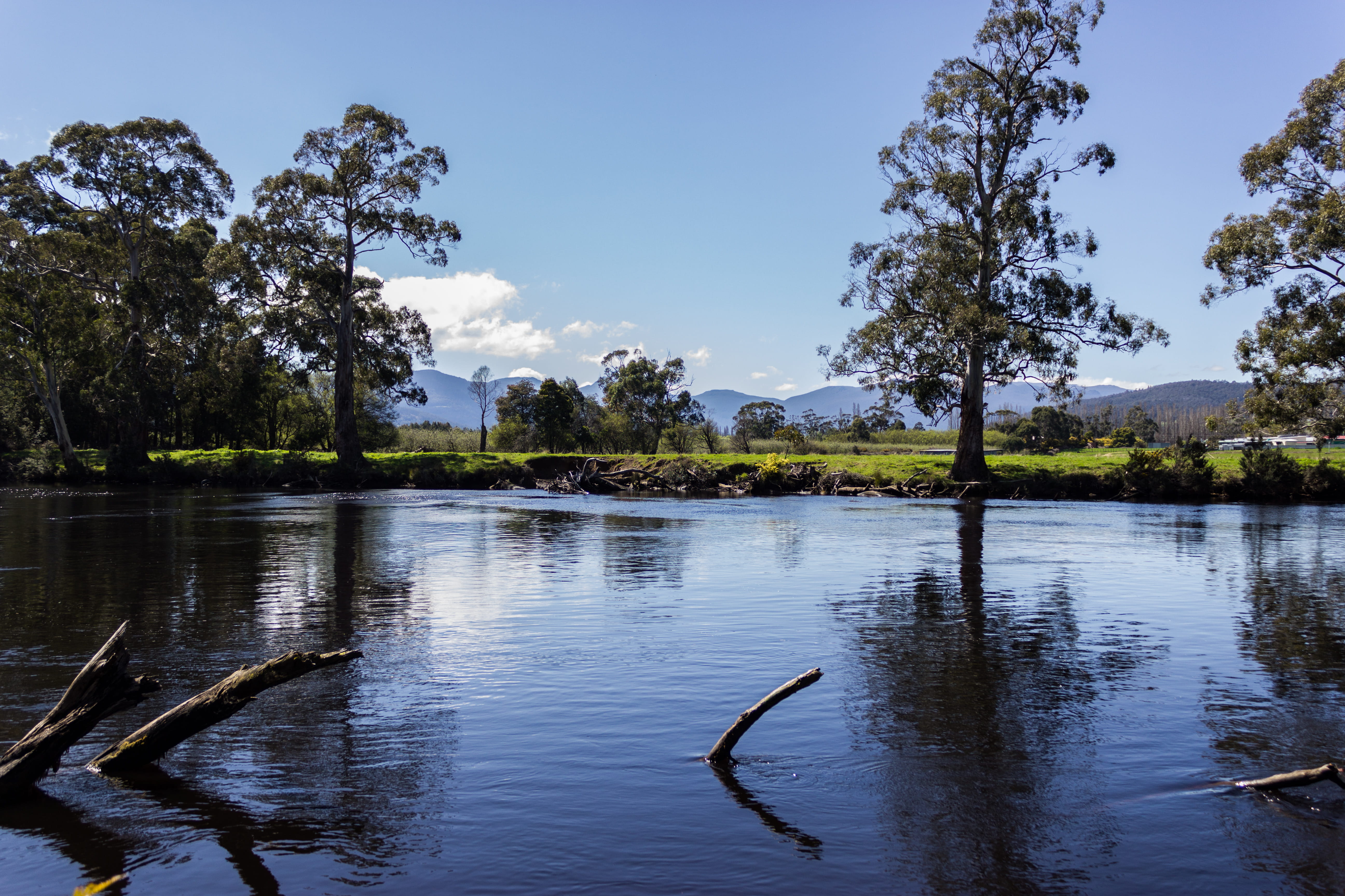 beauty in nature, nature, lake, 5K, tree, cloud - sky, tranquil scene, cloud, hobart, reflection, scenics - nature, growth, day, trees, huon river, plant, HD Wallpaper