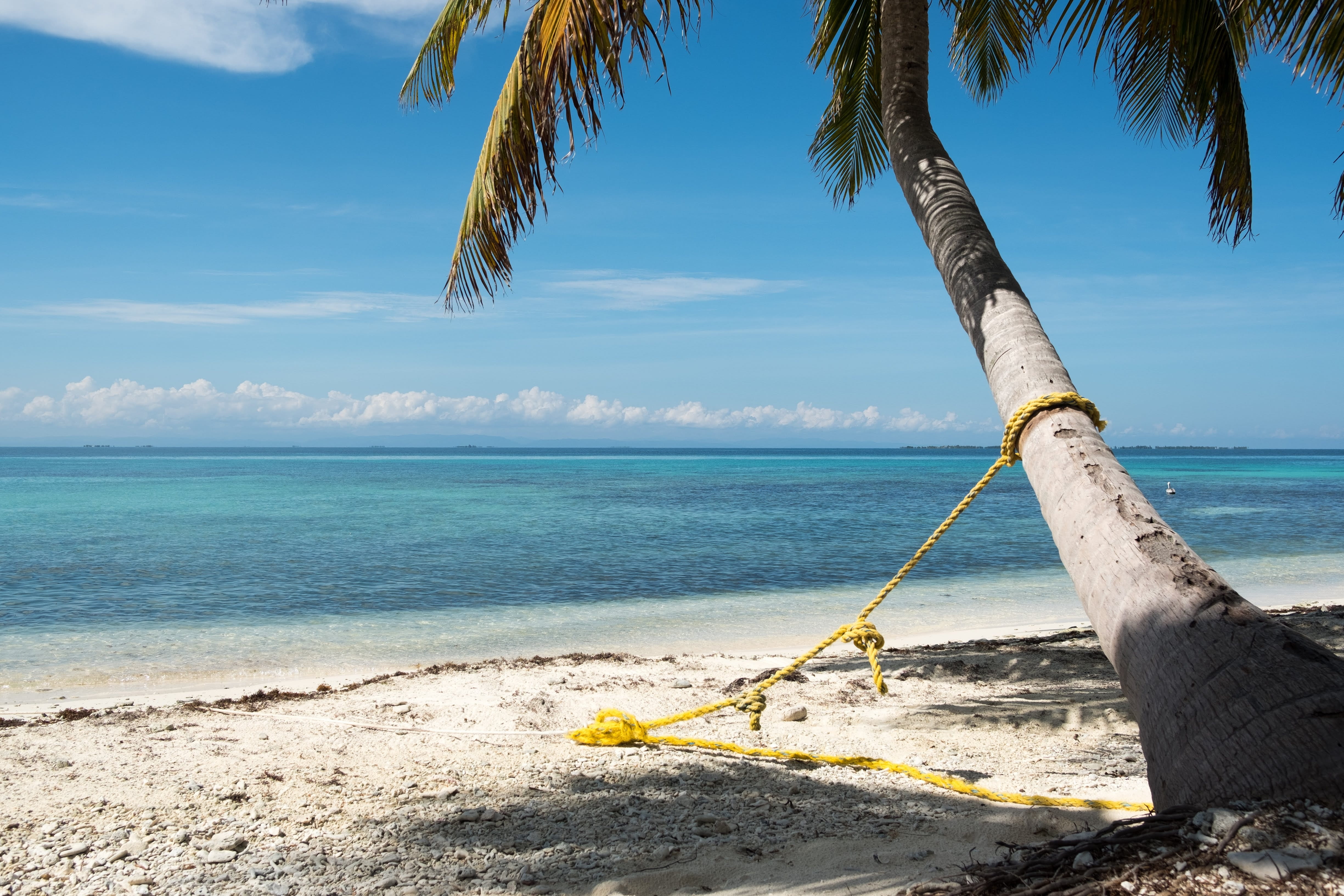 horizon, nature, sky, horizon over water, idyllic, cloud - sky, beauty in nature, day, belize, beach, no people, coconut palm tree, sunlight, palm tree, HD Wallpaper