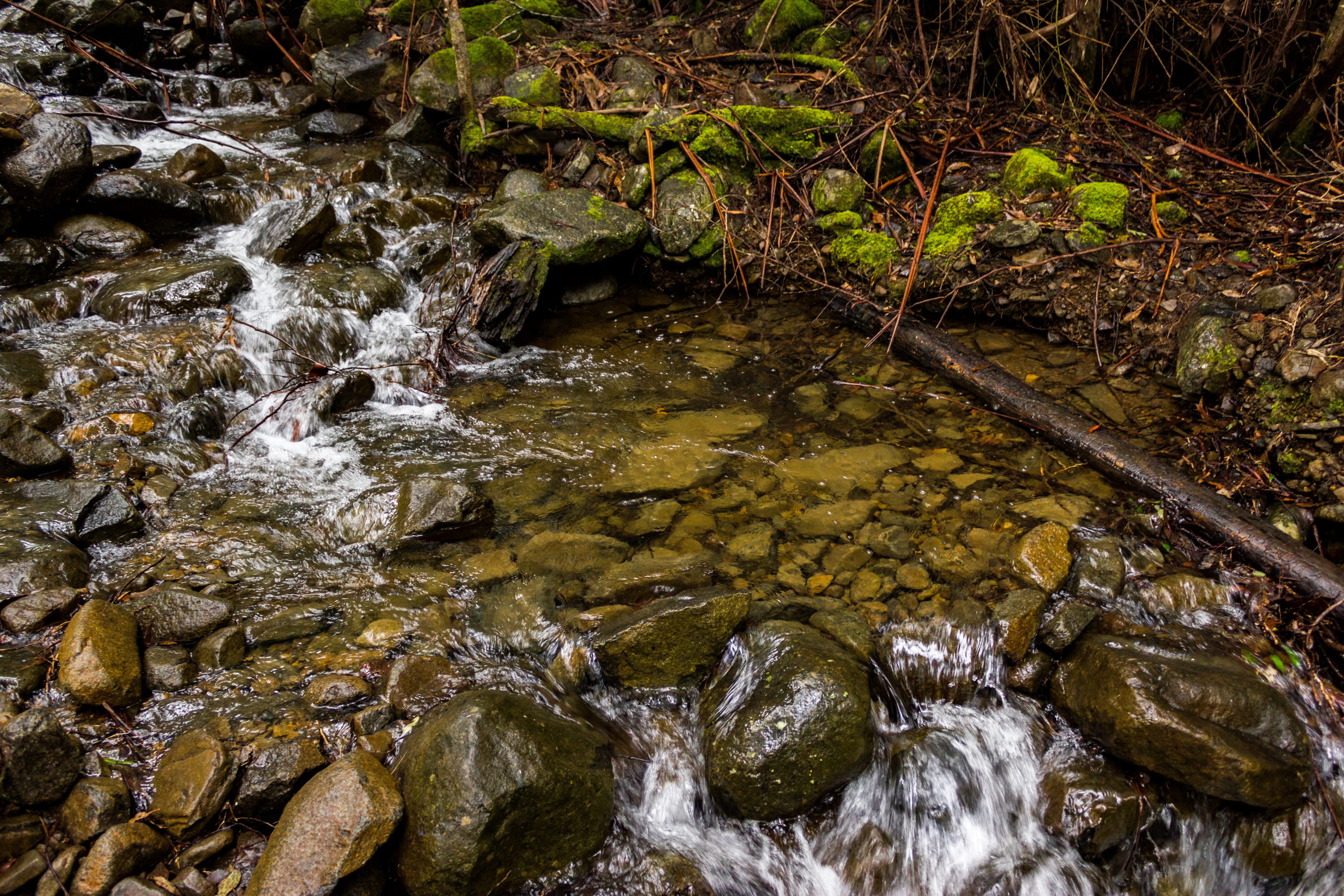 motion, hobart, solid, tranquility, shallow, rock, lenah valley, stream - flowing water, flowing water, water, australia, flowing, 5K, nature, waterfront, HD Wallpaper