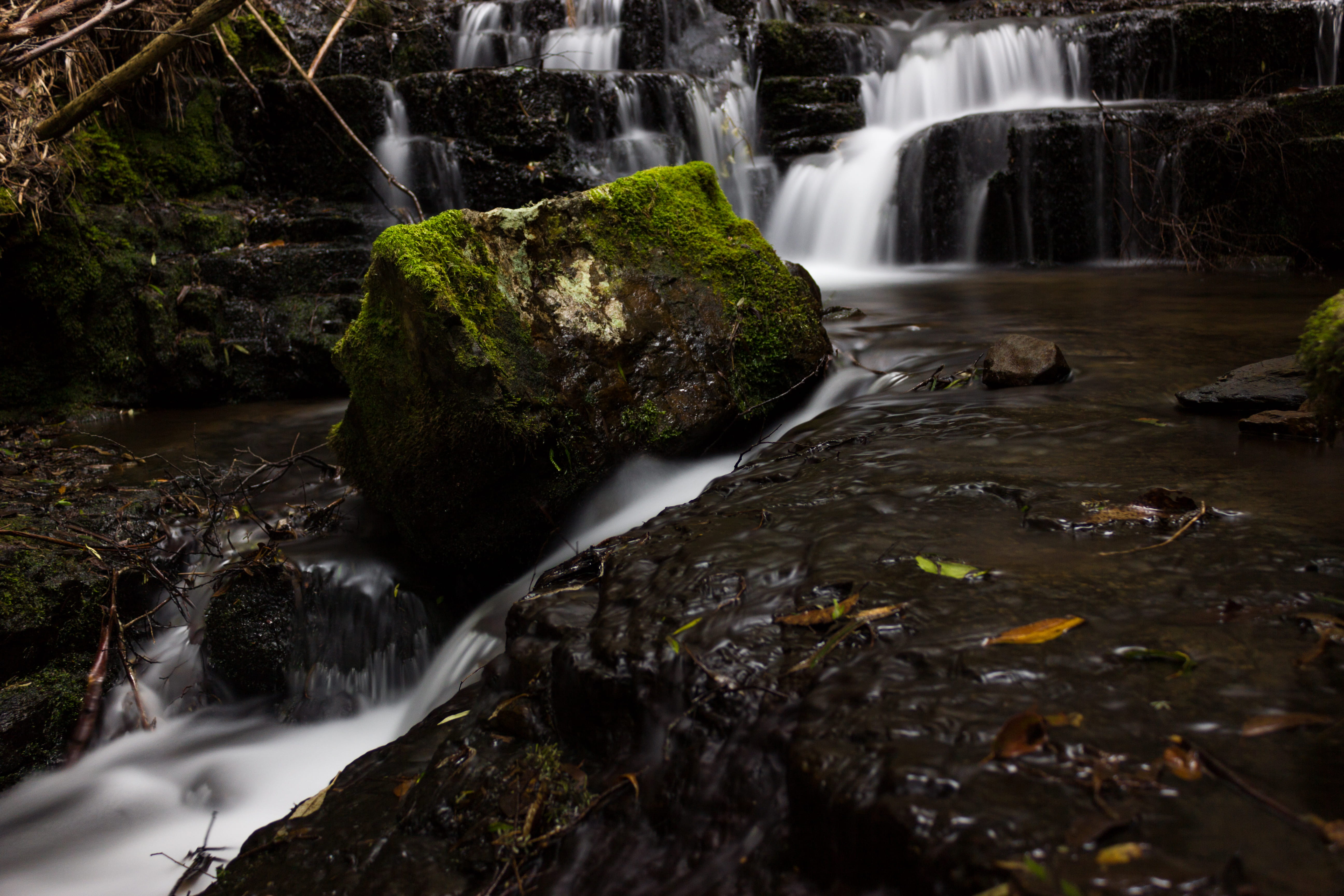 australia, long exposure, mossy, nature, flowing water, land, no people, water, beauty in nature, tree, forest, rock, scenics - nature, environment, flowing, HD Wallpaper
