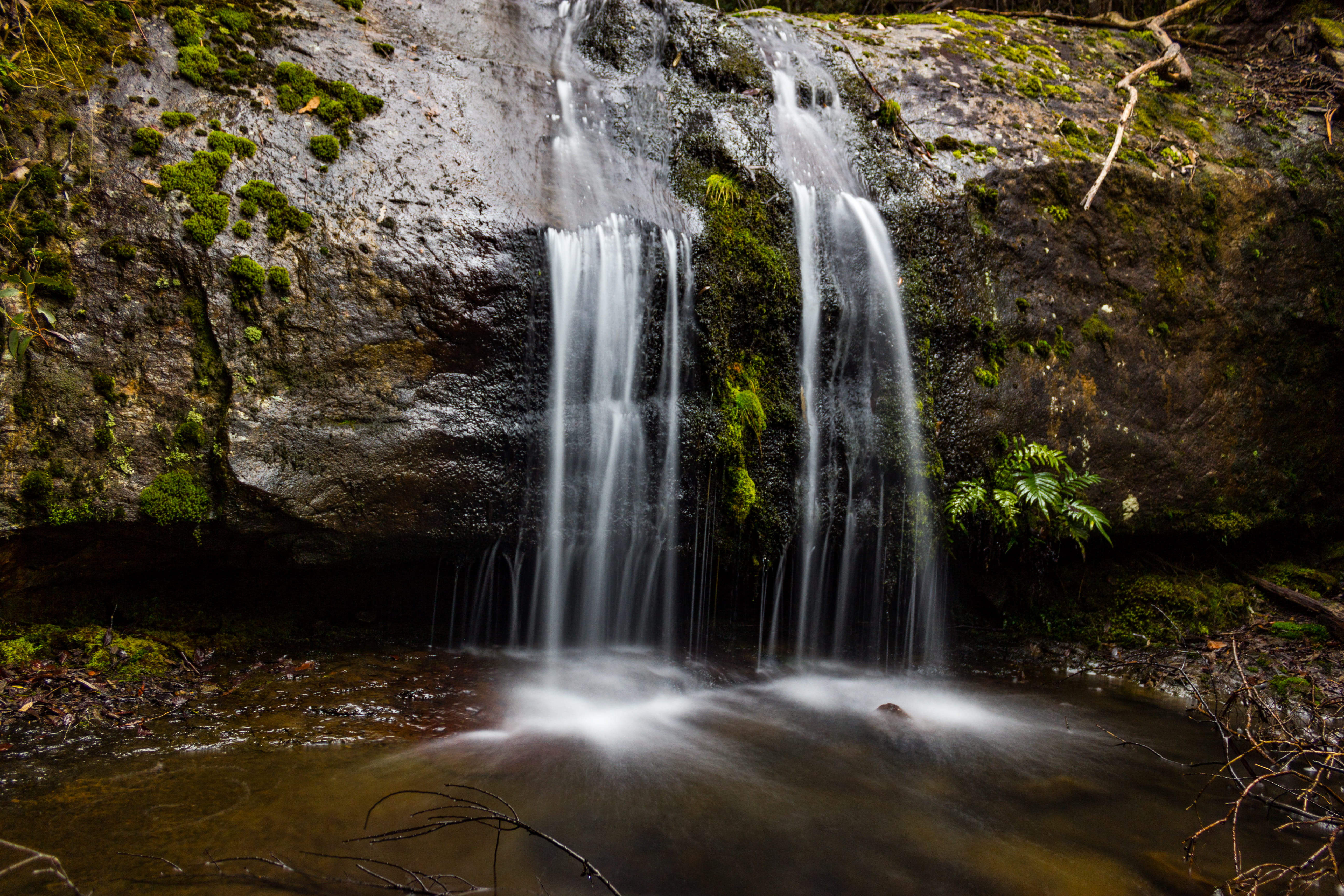 power in nature, land, scenics - nature, forest, flowing, water, motion, long exposure, plant, tree, no people, rock, non-urban scene, rock formation, environment, HD Wallpaper