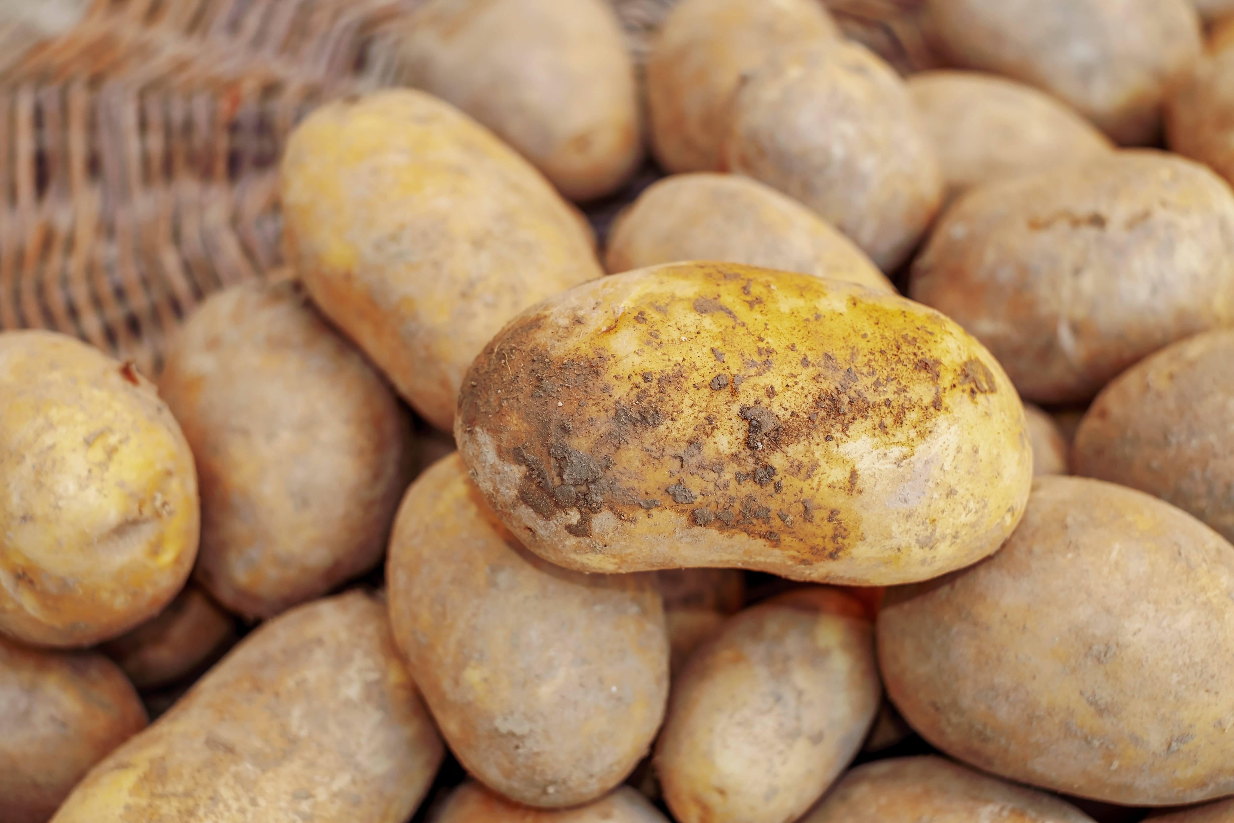 close-up, abundance, carbohydrates, earth apple, natural product, vegetables, brown, market, 4K, retail, potatoes, healthy eating, still life, raw potato, HD Wallpaper