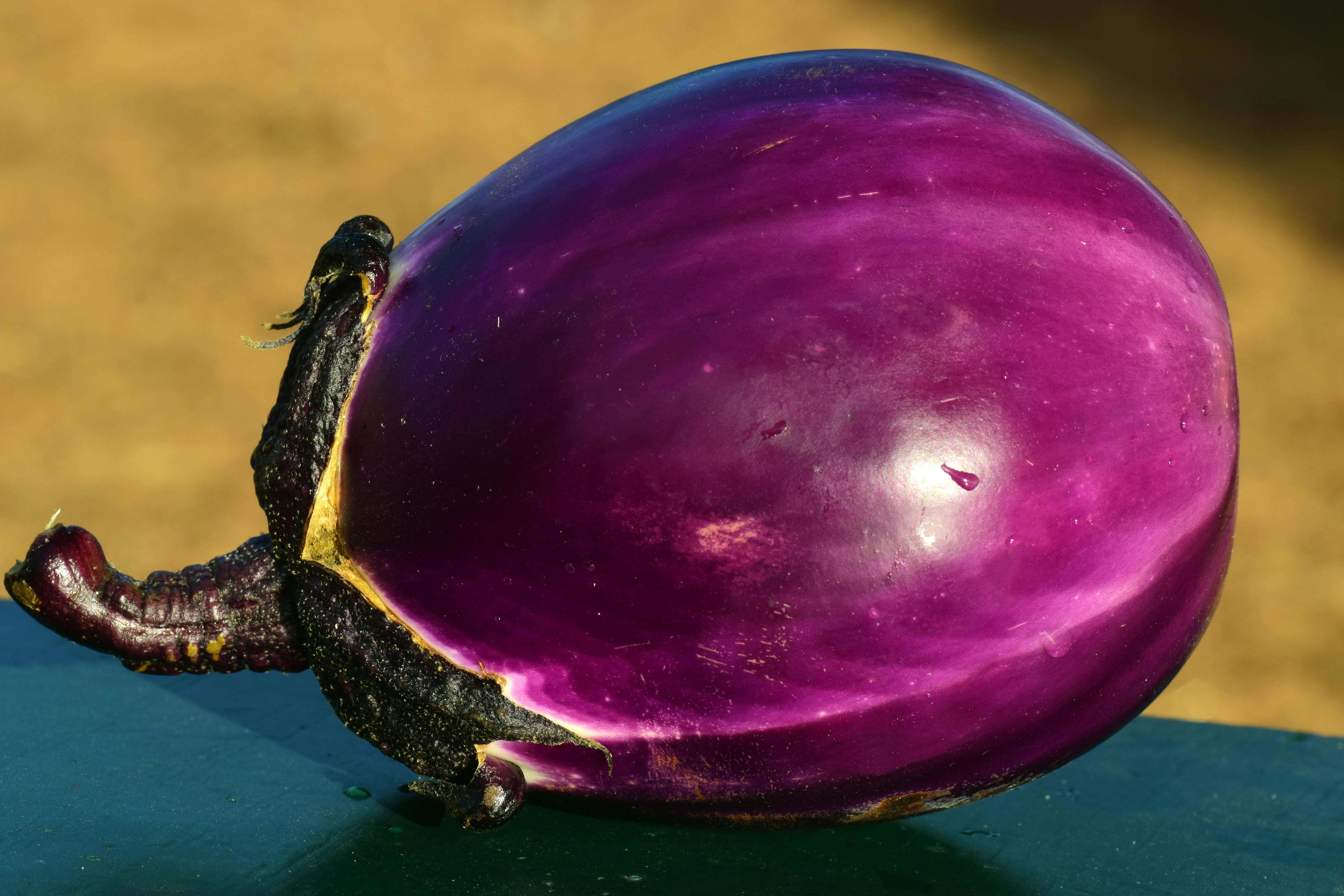 outdoors, nature, eat, delicious, food, healthy eating, vegetarian, eggplant, mediterranean cuisine, full length, focus on foreground, water, close-up, HD Wallpaper