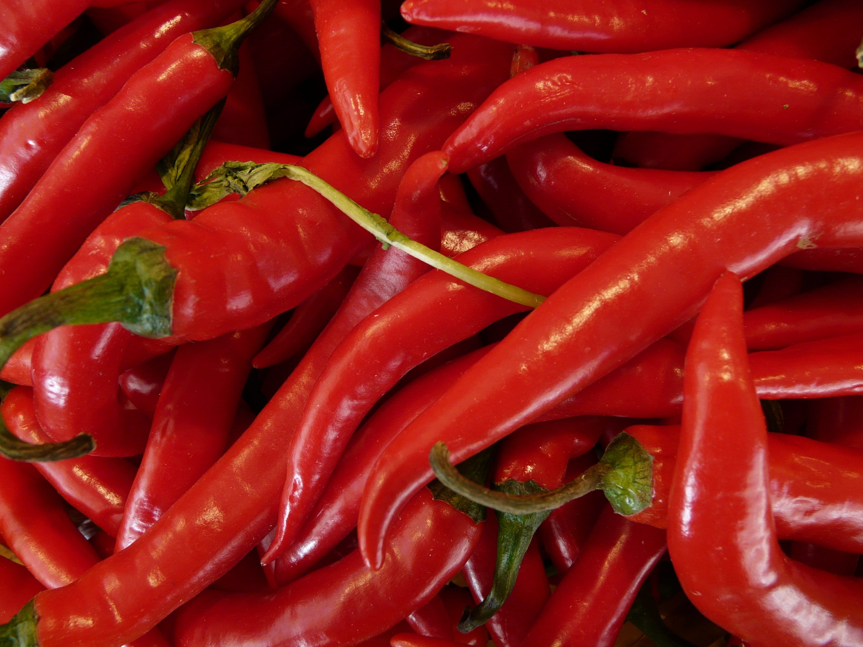 freshness, eat, food, pepper, vegetable, food and drink, vitamins, spice, red chili pepper, Chili, retail, still life, backgrounds, large group of objects, HD Wallpaper