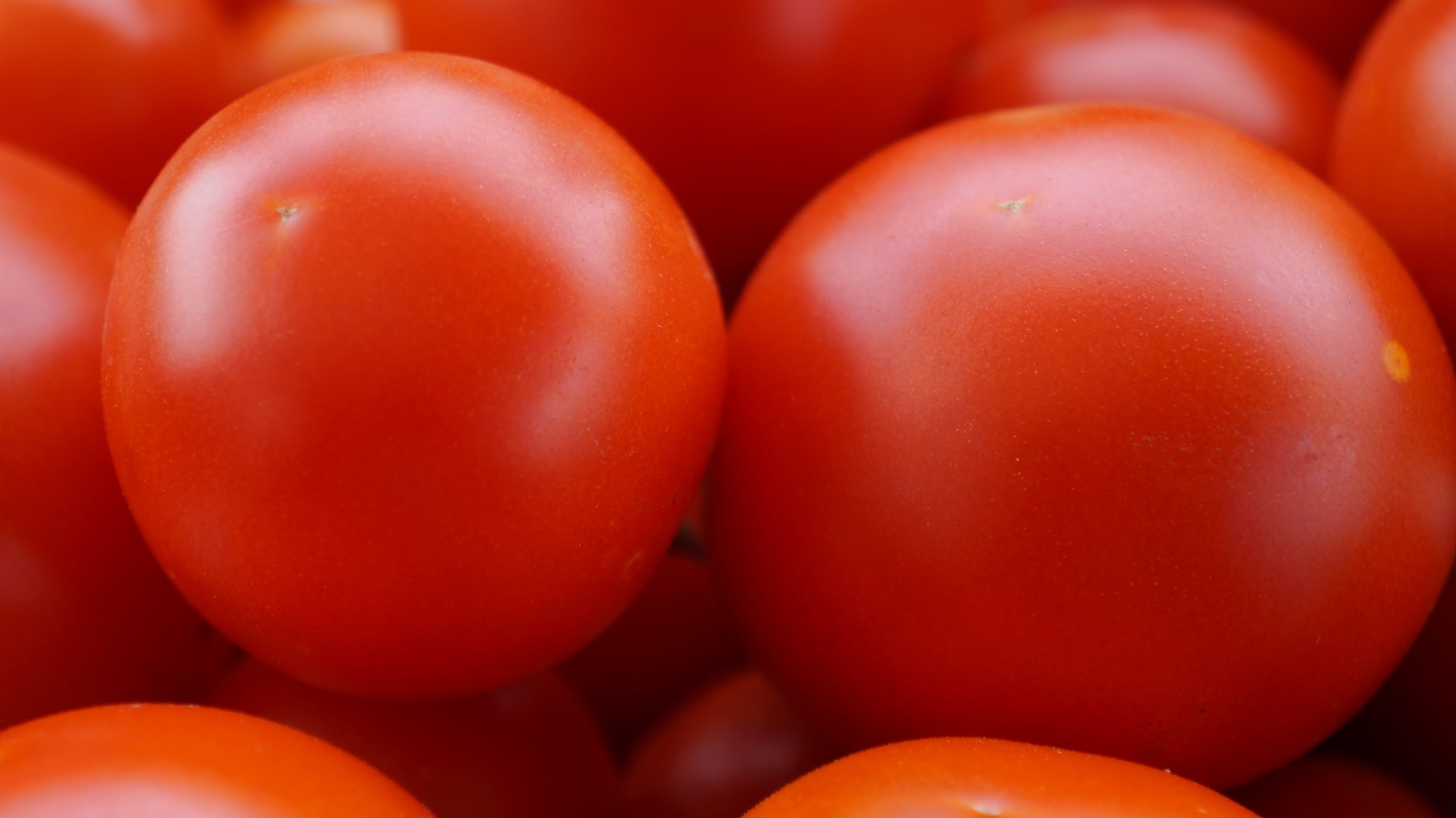 red, wellbeing, nachtschattengewächs, mature, close-up, Food, large group of objects, food and drink, healthy eating, focus on foreground, orange color, HD Wallpaper